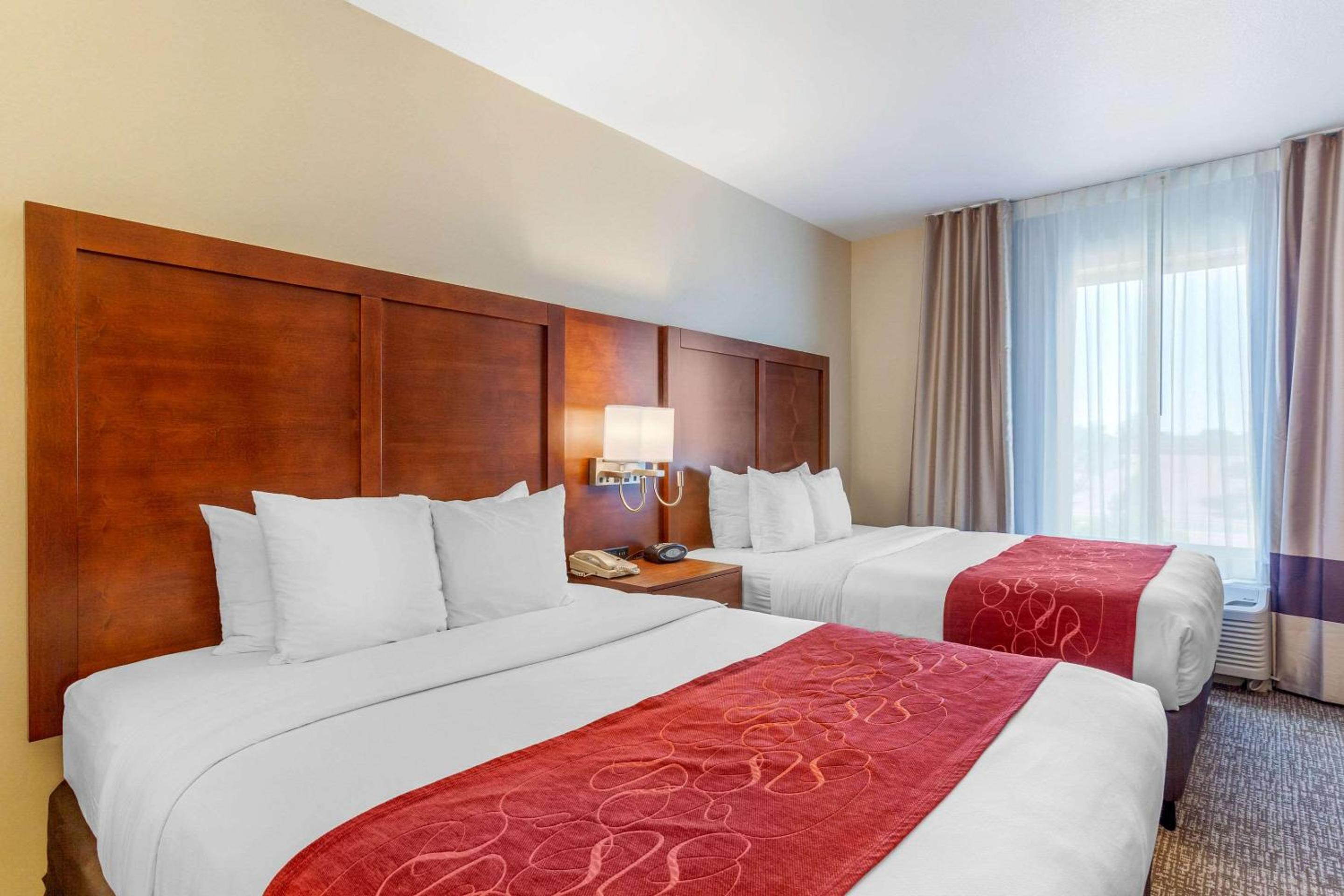 Queen Suite with Two Queen Beds and Sofa Bed - Non-Smoking - Photo 5