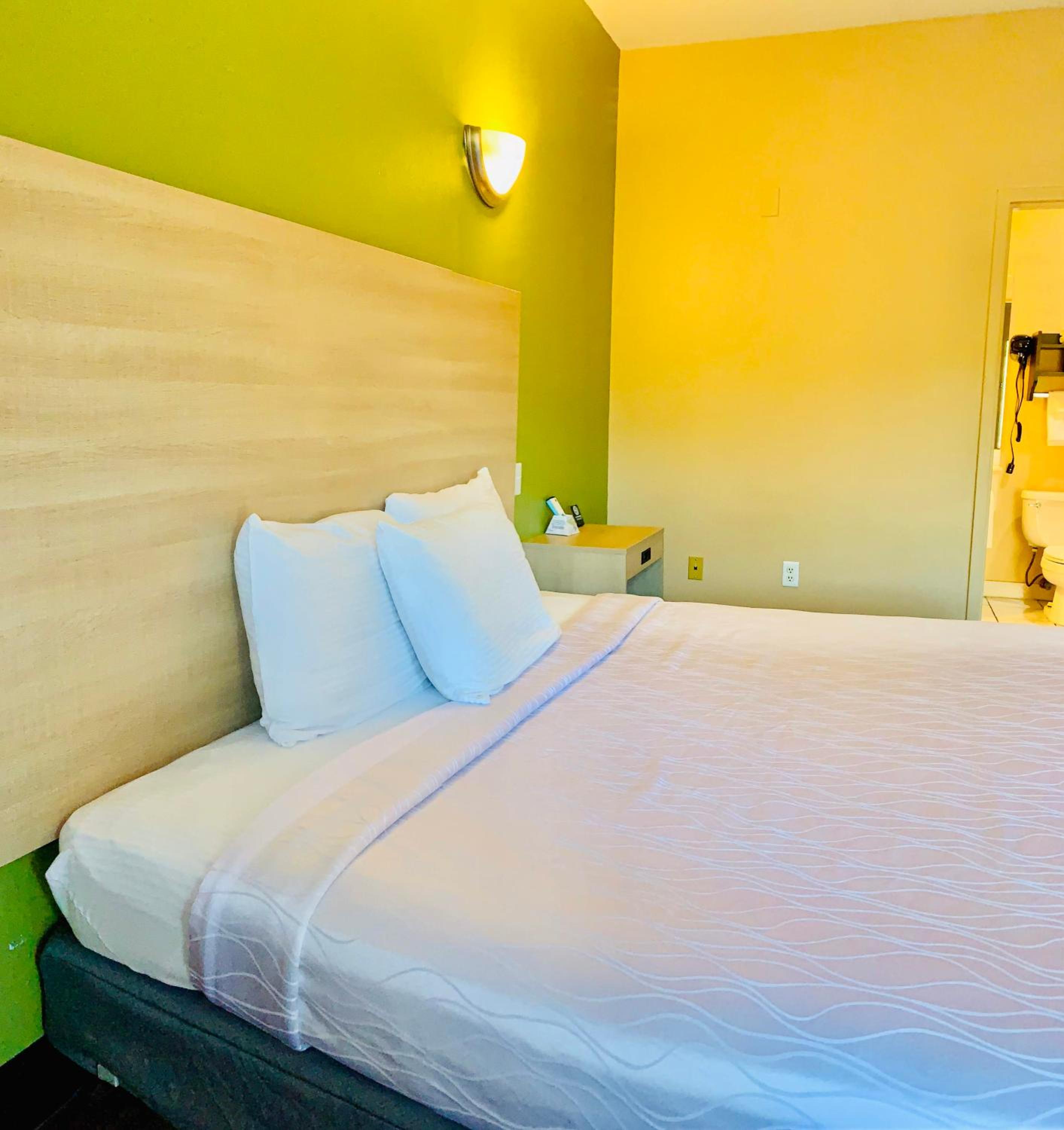 Single Room - Disability Access photo 2