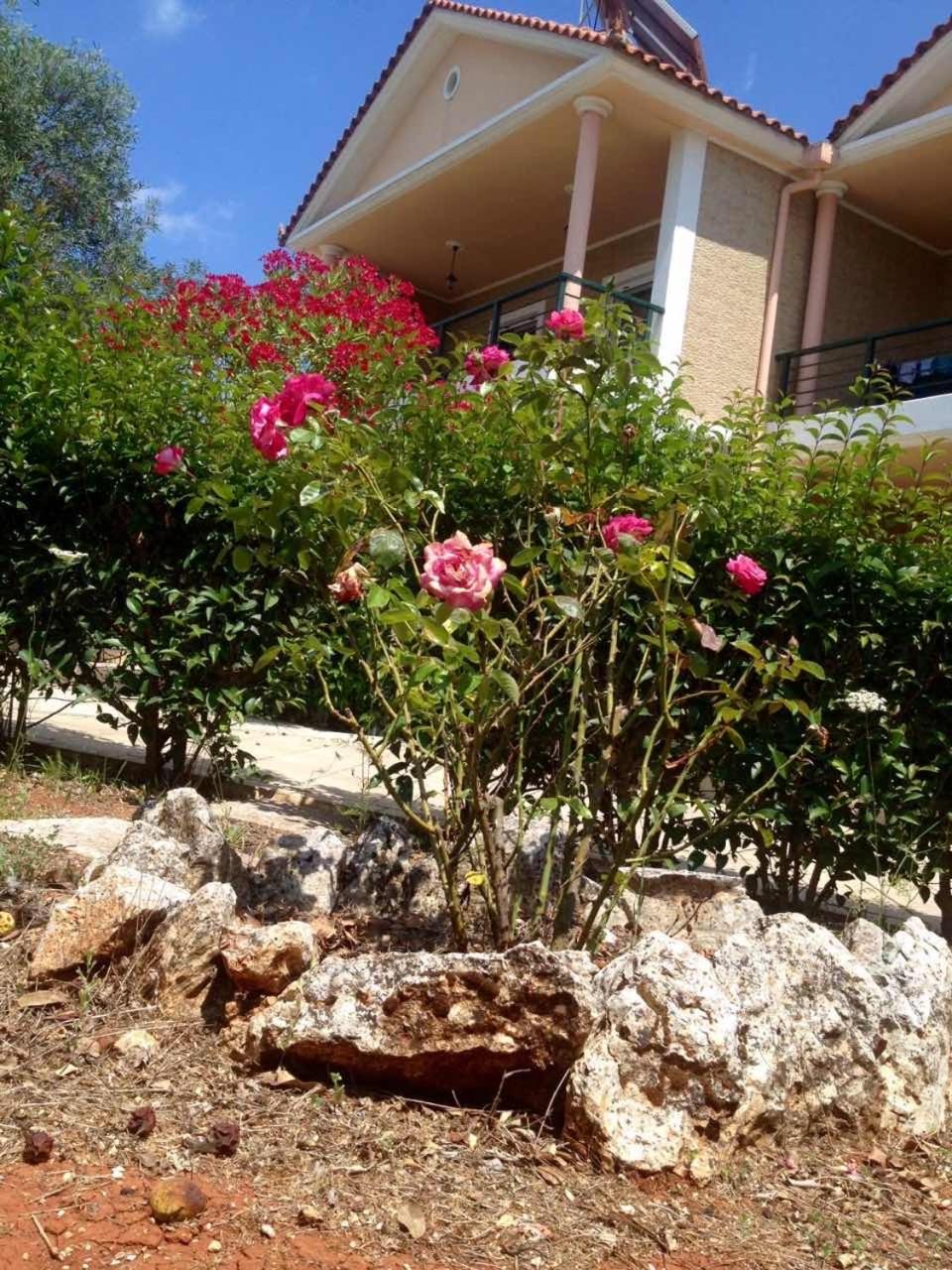 Villa photo 2