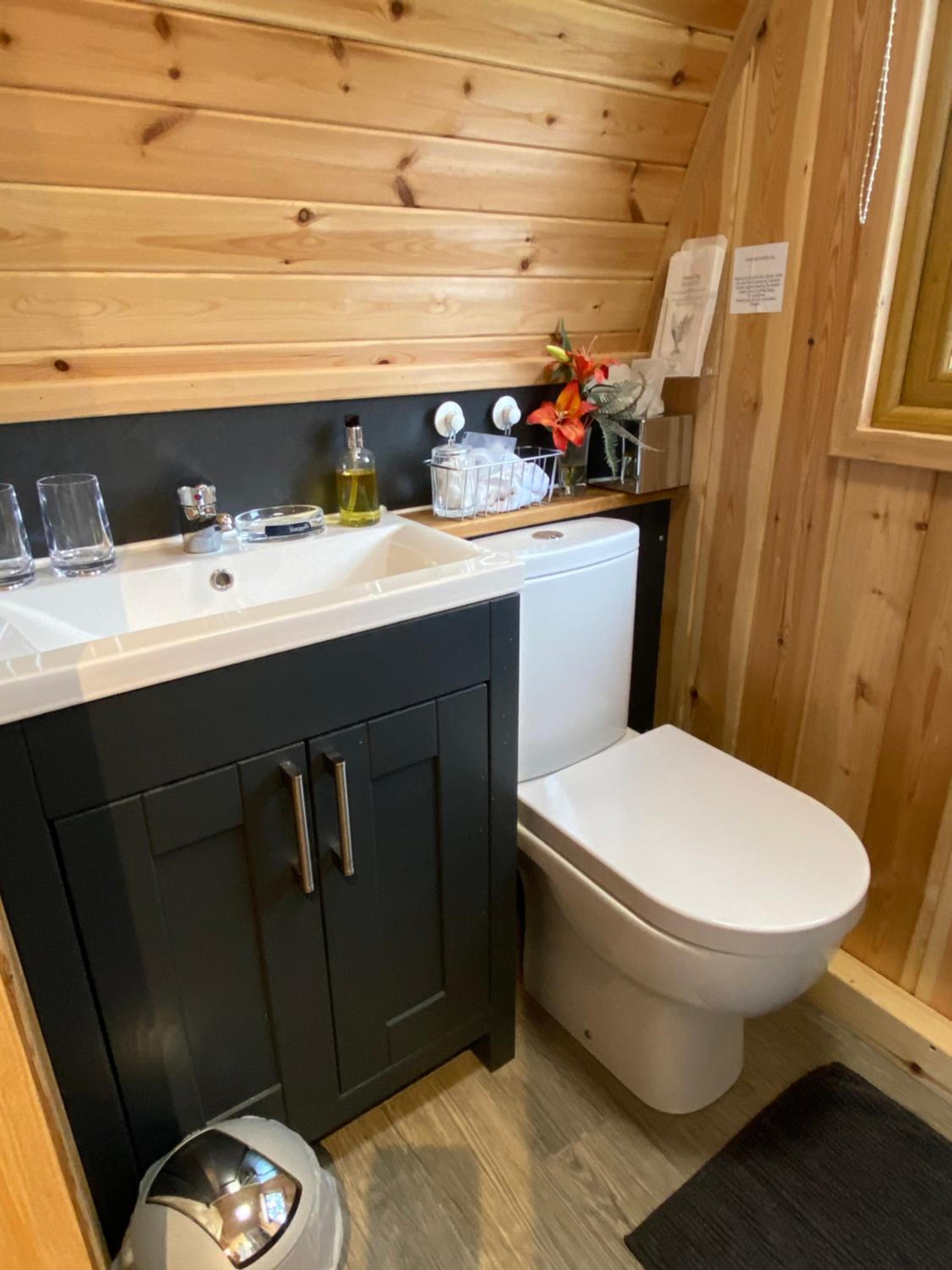 Deluxe Micro Lodge photo 2