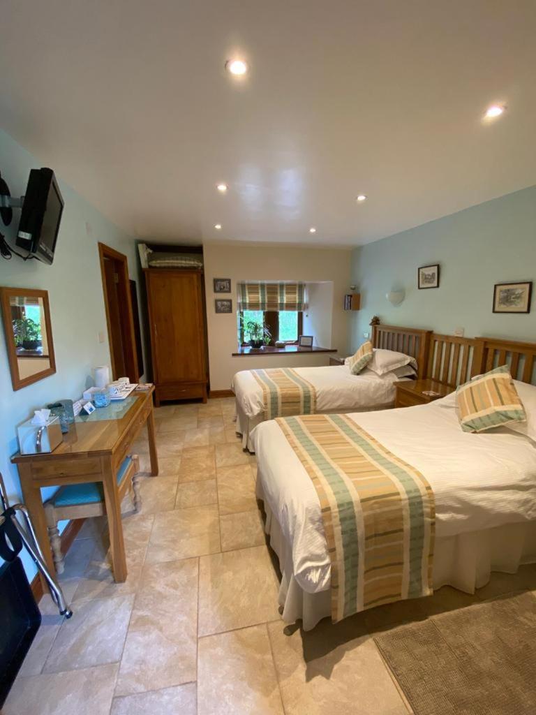 Deluxe Double or Twin Room photo 2