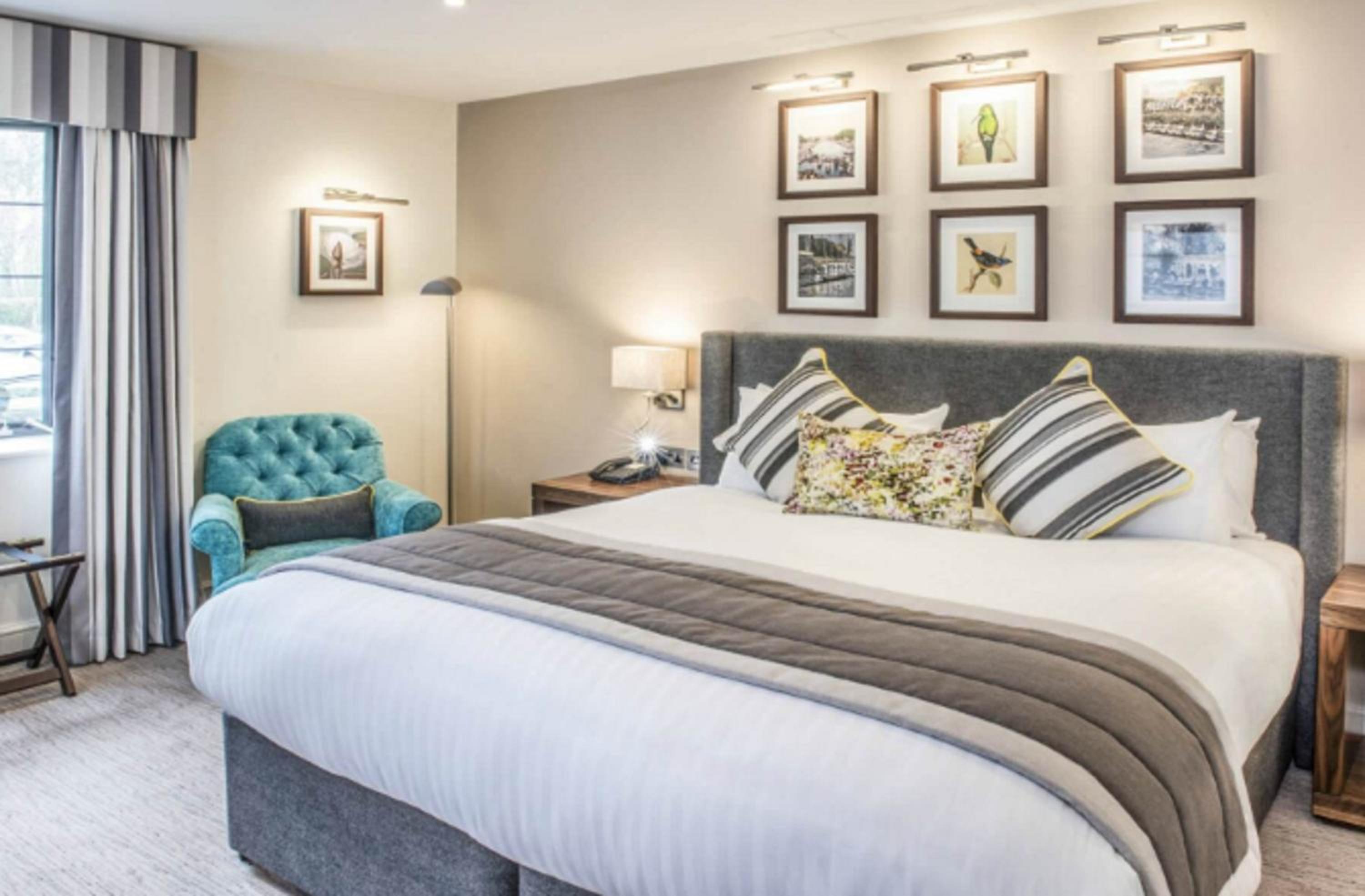 Premium King Room - Photo 8