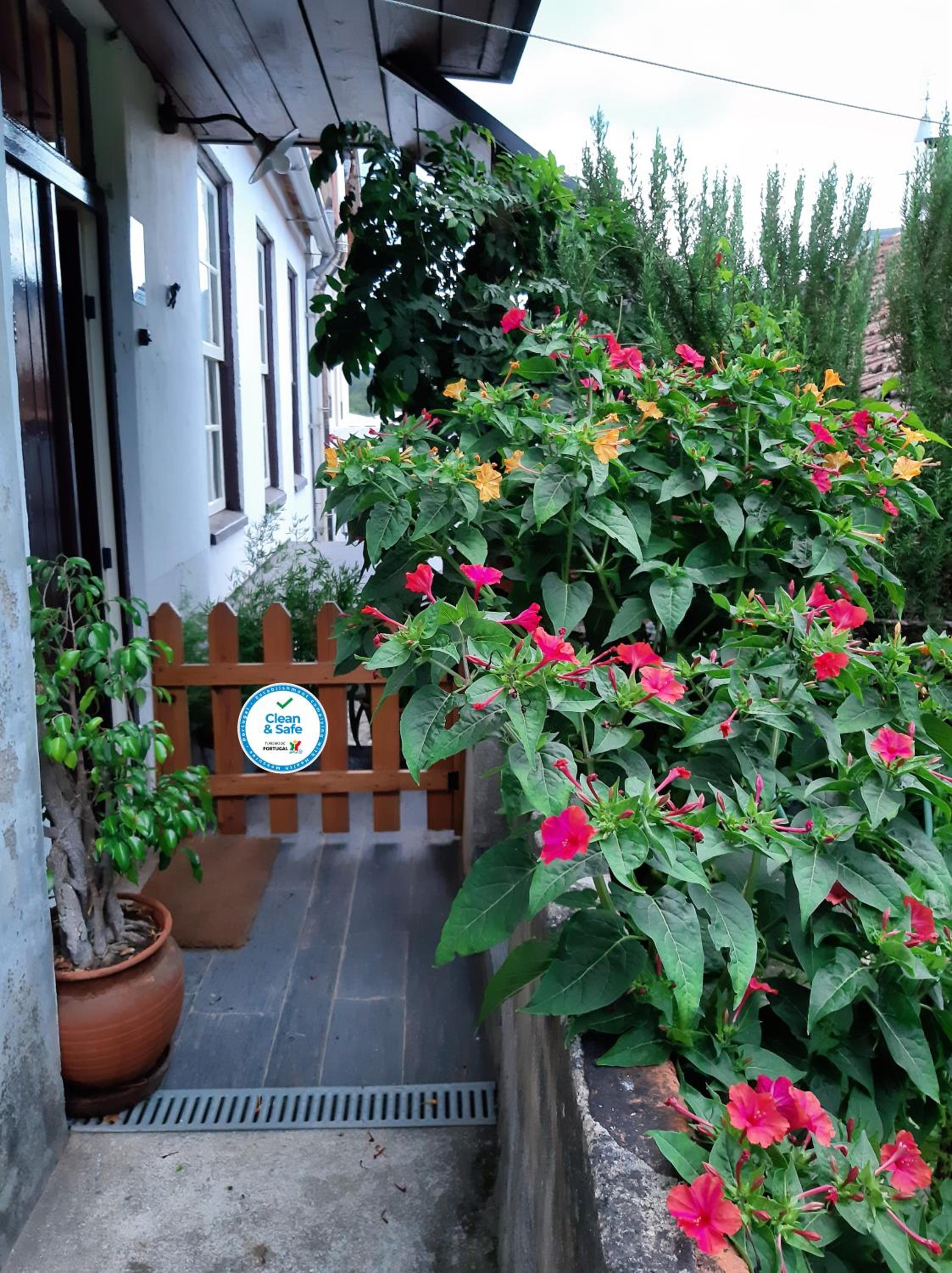 Three-Bedroom House - Photo 12