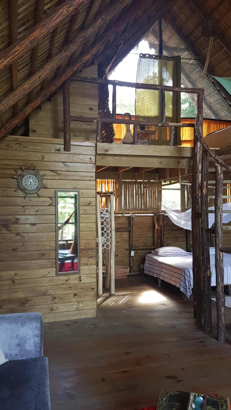 Deluxe Bungalow With Sea View photo 2