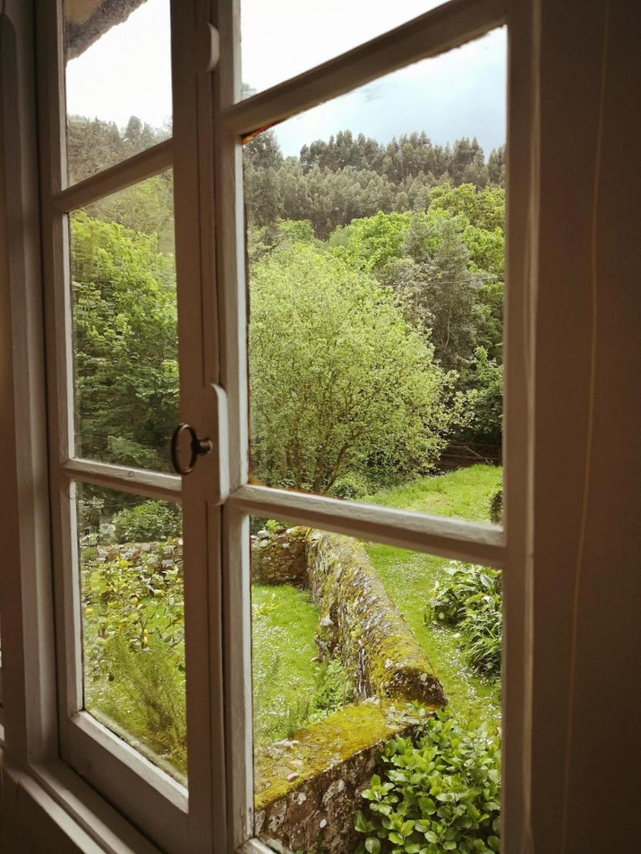 Twin Room with Garden View with Shared Bathroom photo 2