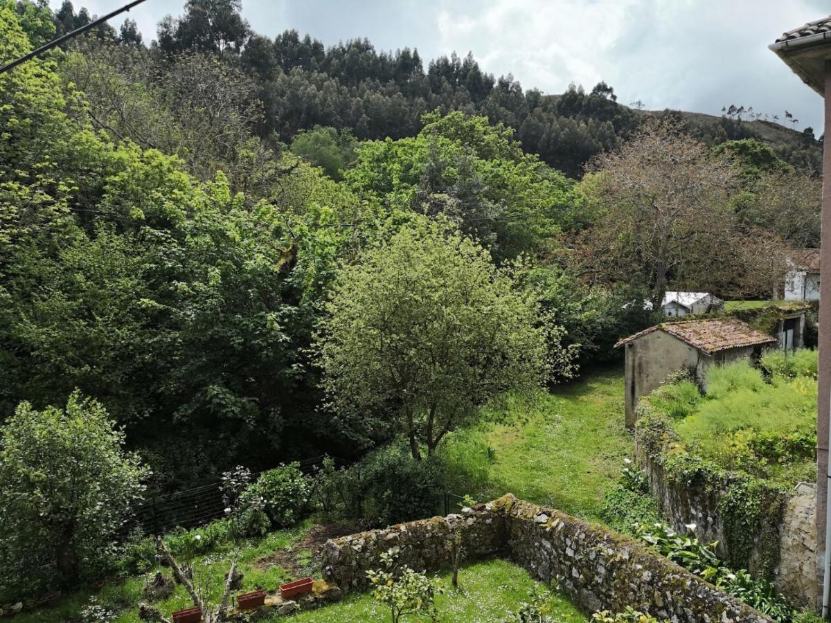 Twin Room with Garden View with Shared Bathroom photo 3