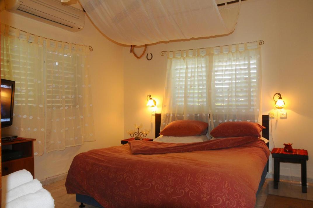One-Bedroom Apartment with Balcony - Photo 13
