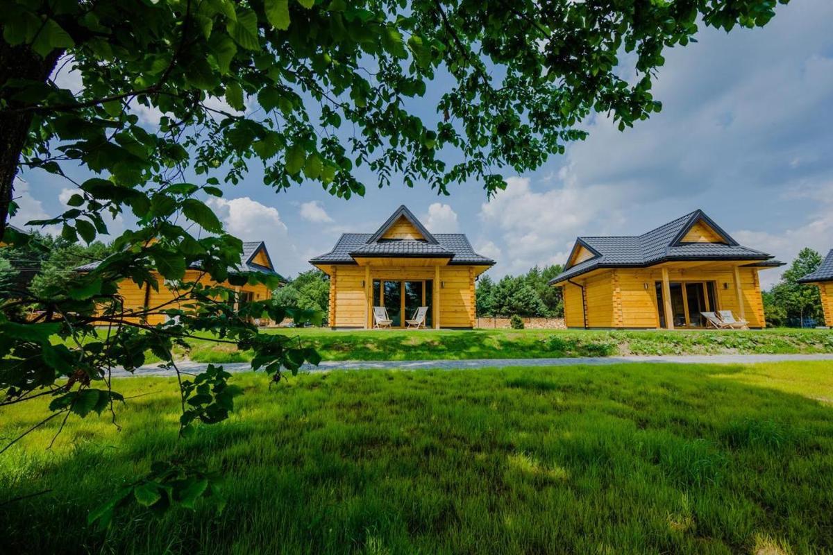 Chalet Osada with Terrace photo 1