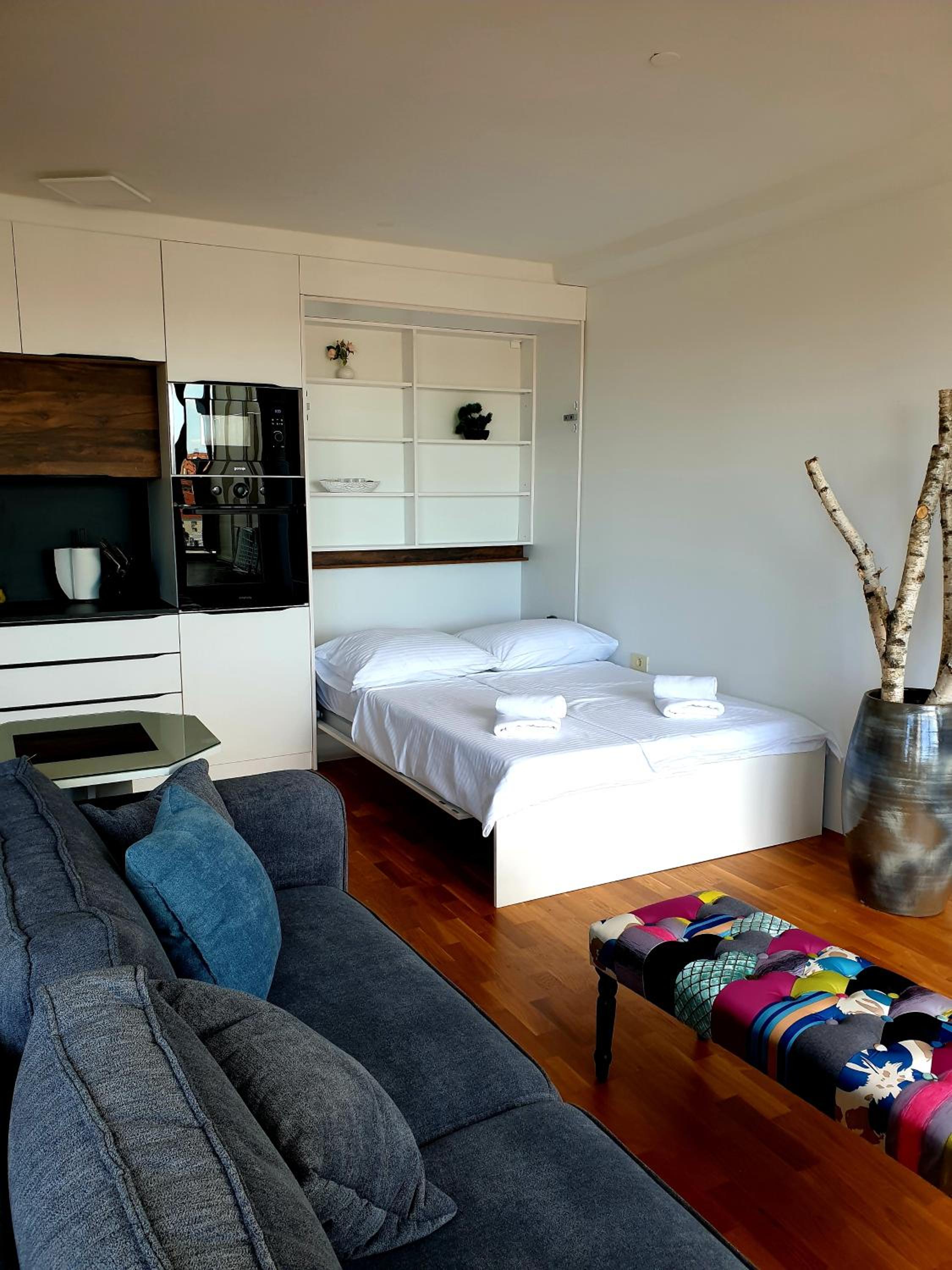 One-Bedroom Apartment photo 3