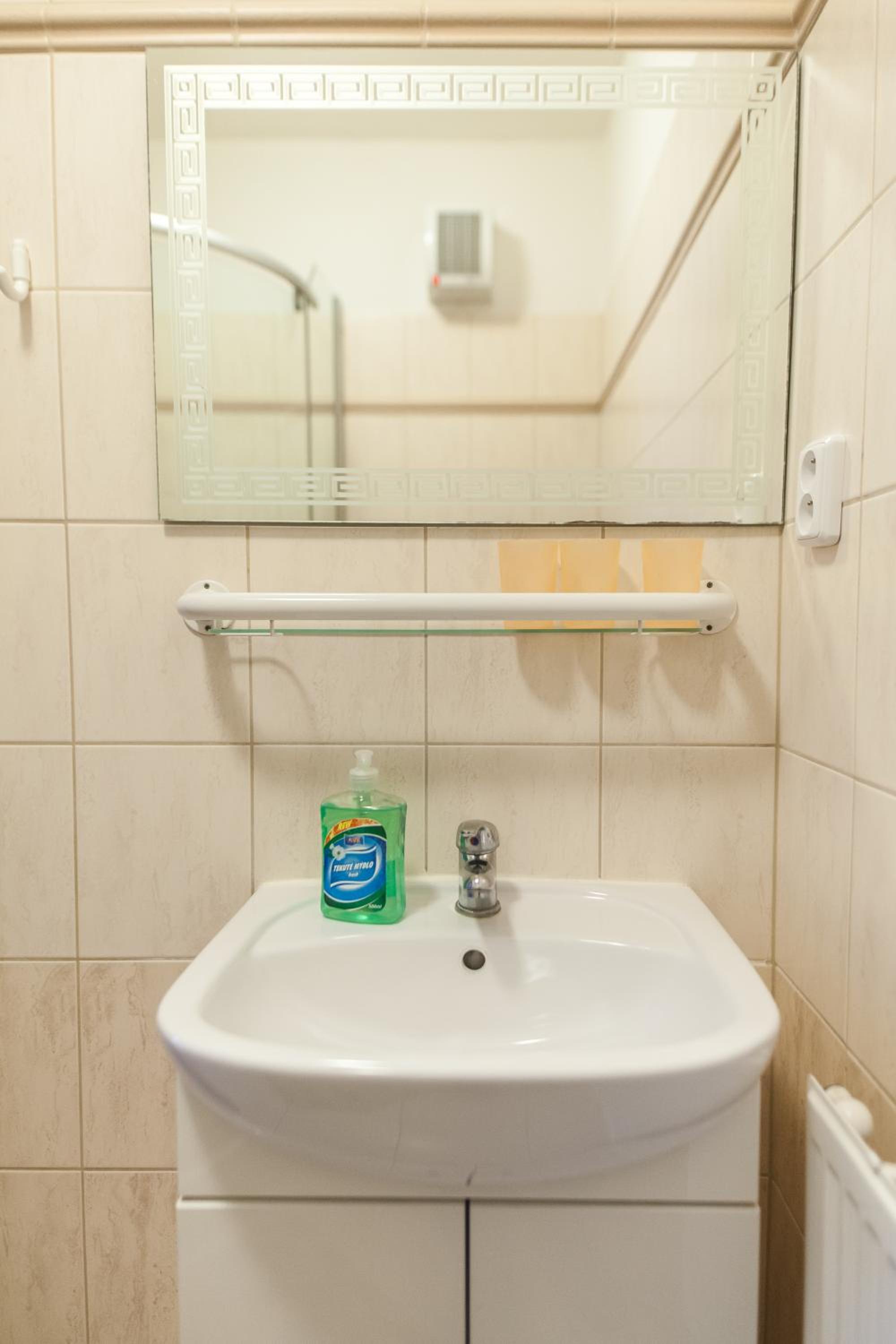 Duplex Apartment photo 3