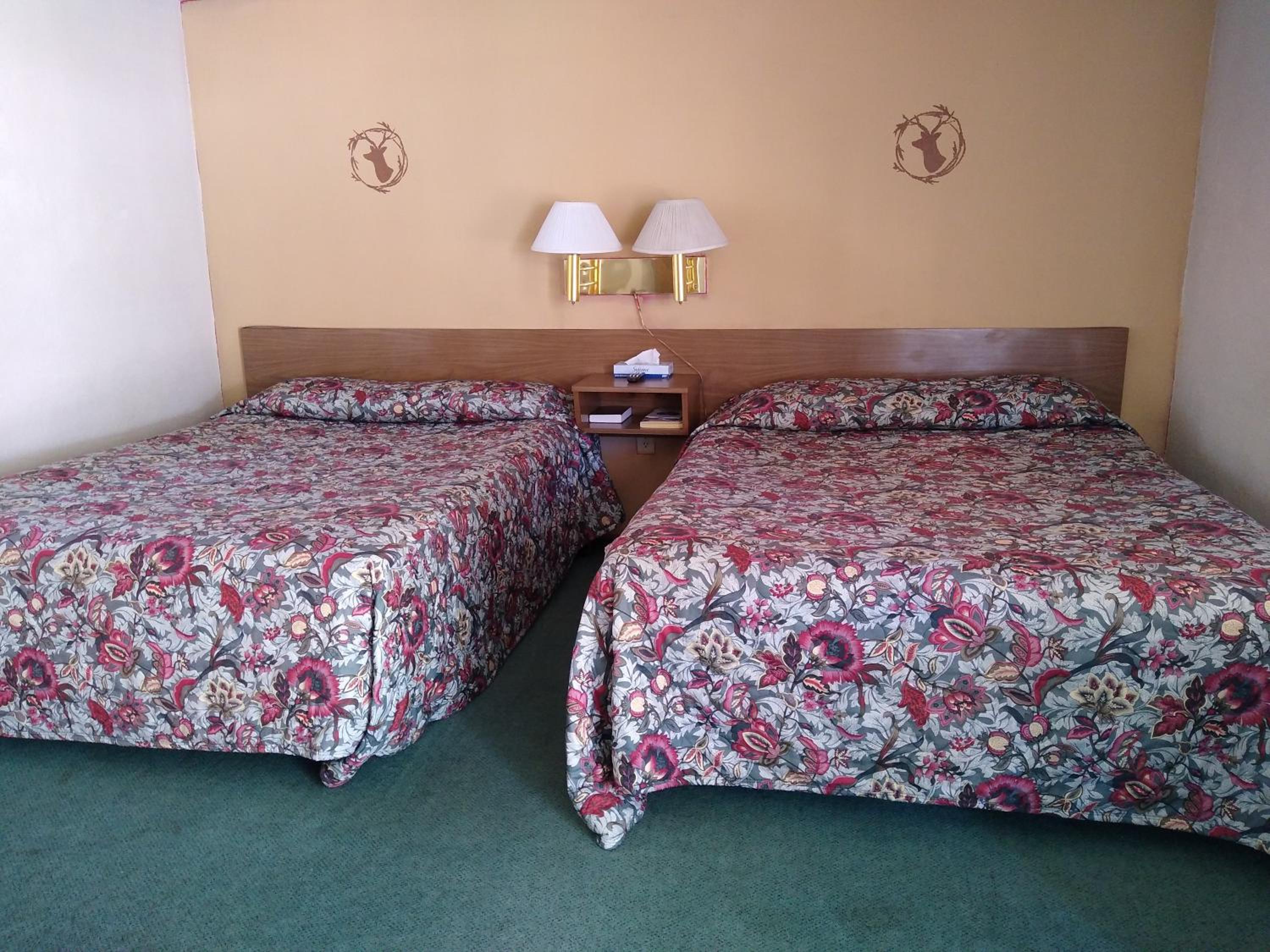Queen Room with Two Queen Beds photo 2