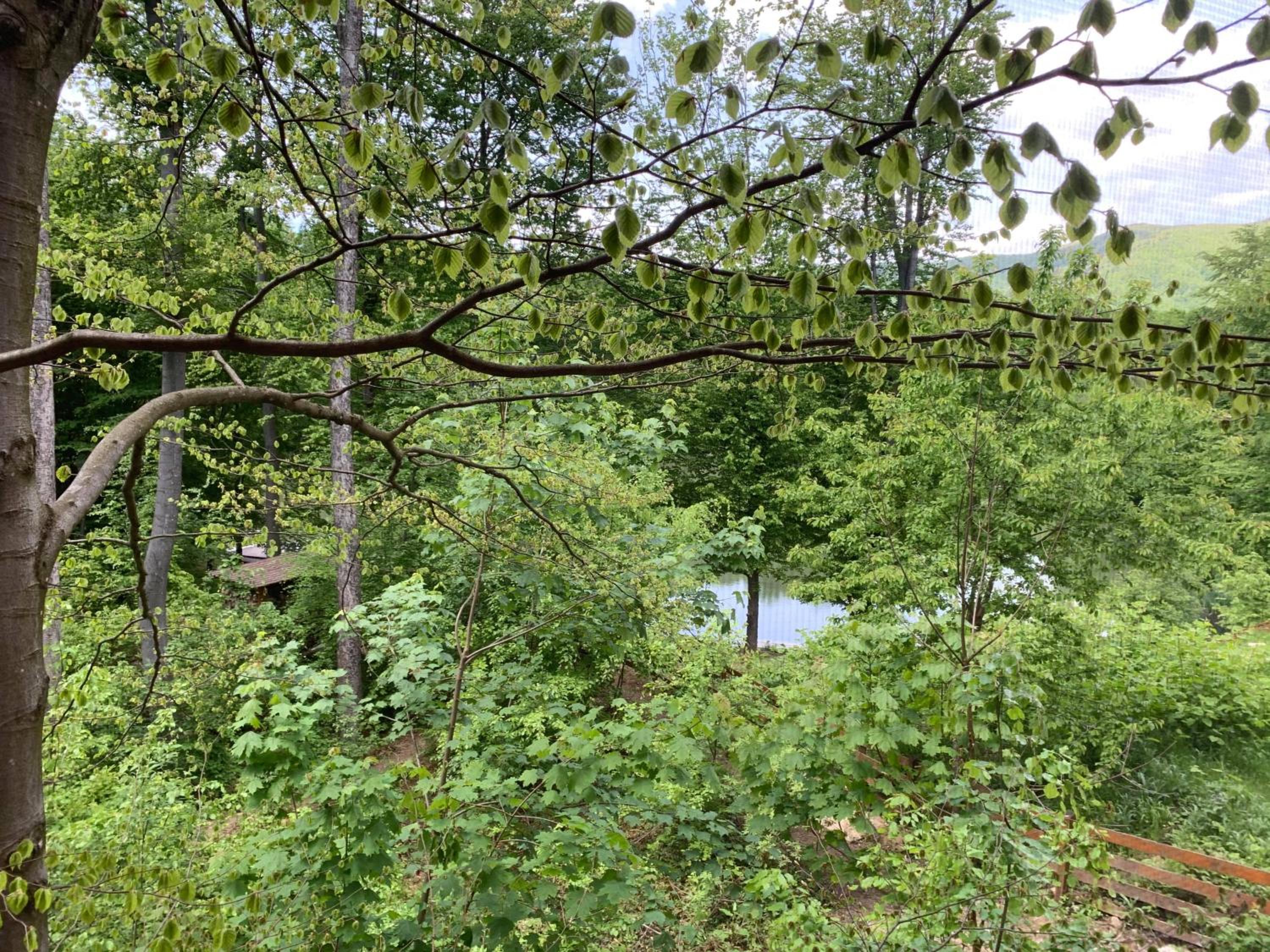 Studio with Lake View photo 3
