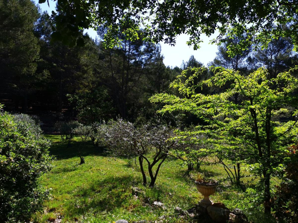 Double Room with Park View photo 1