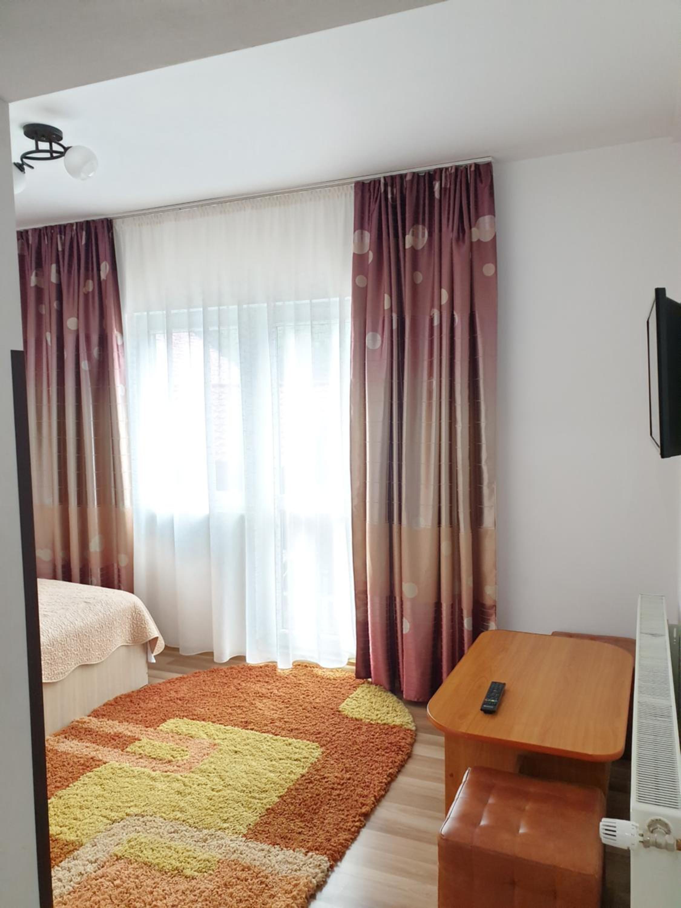 Studio with Sofa Bed photo 1