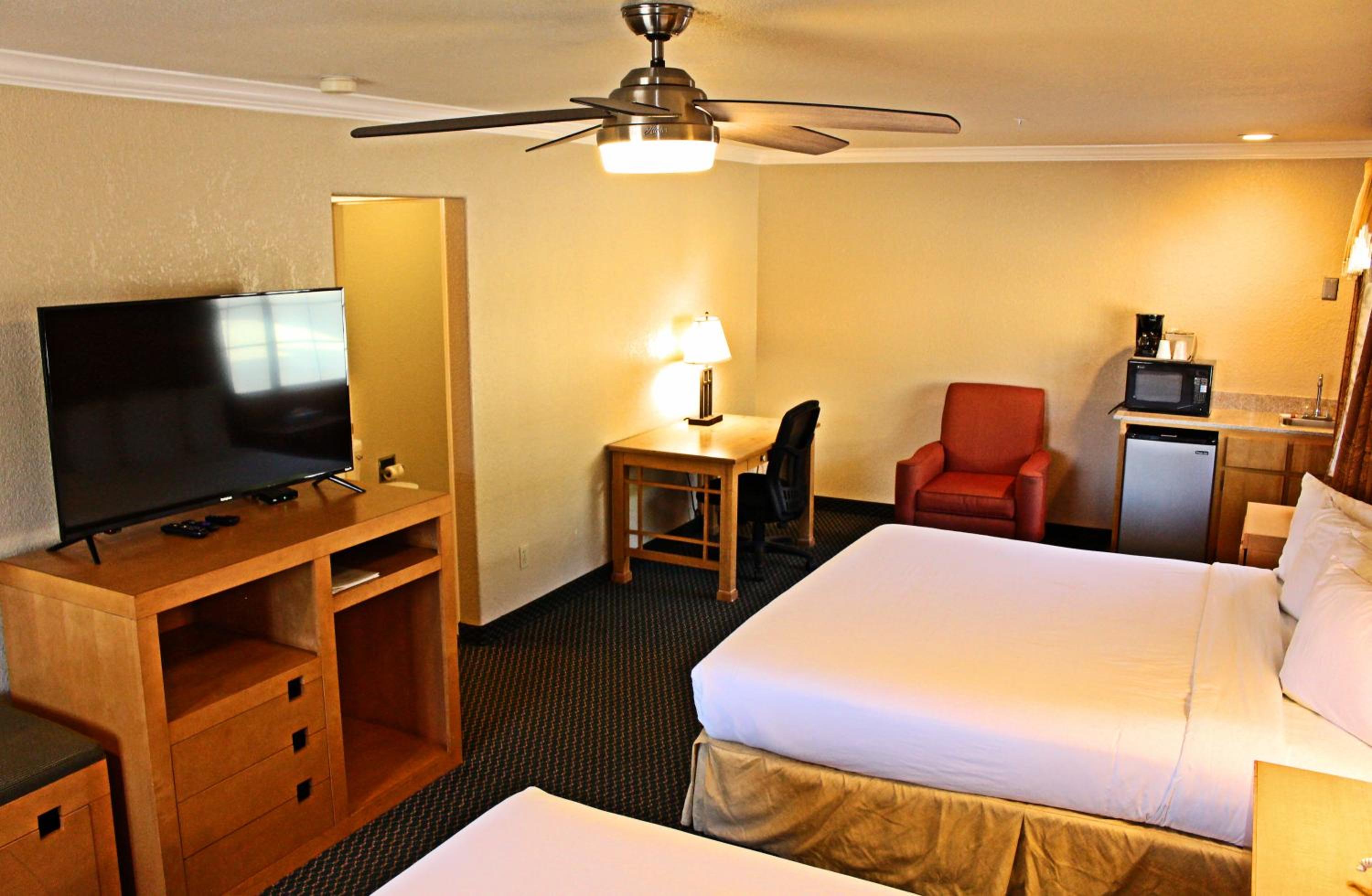 Family Suite photo 2