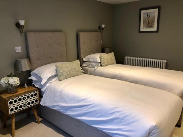 Large Double or Twin Room