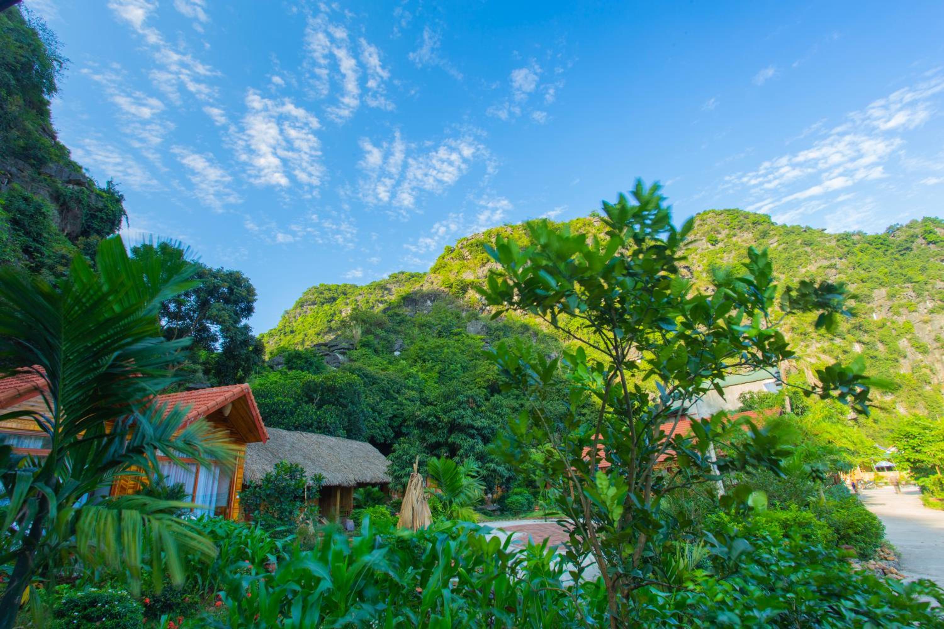 Bungalow - Photo 4