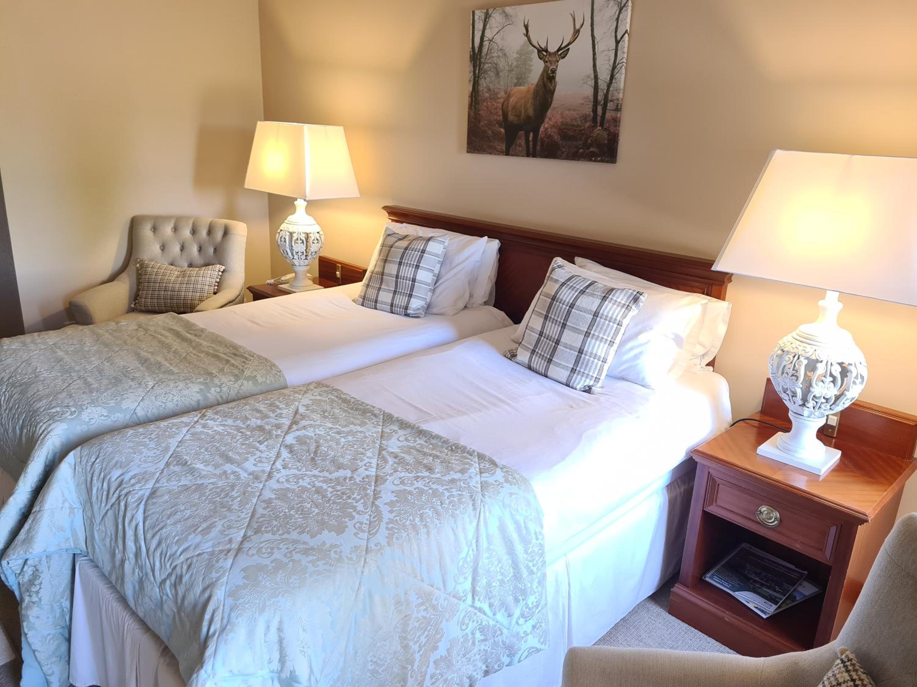 Double or Twin Room - Photo 1