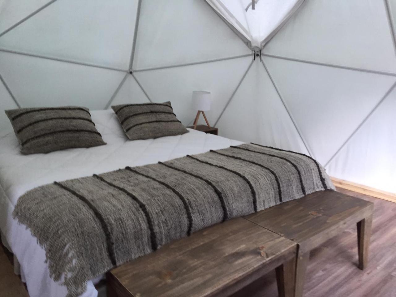 Premium Dome photo 3