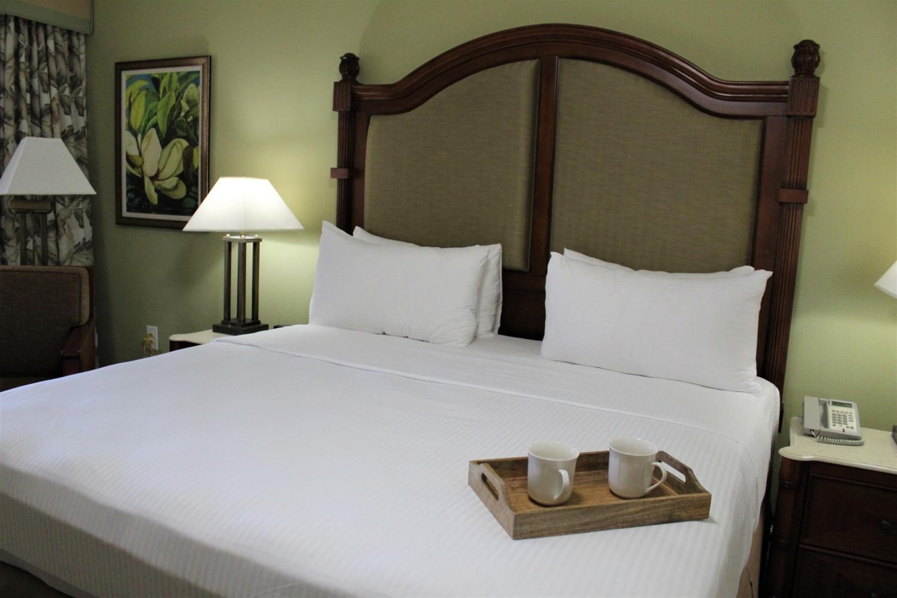 Two-Bedroom King Suite with Queen Bed