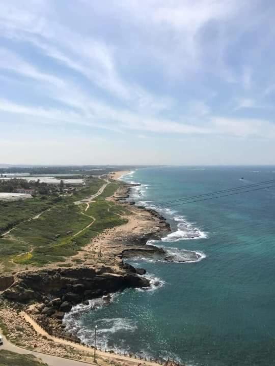 One-Bedroom Apartment - Photo 13