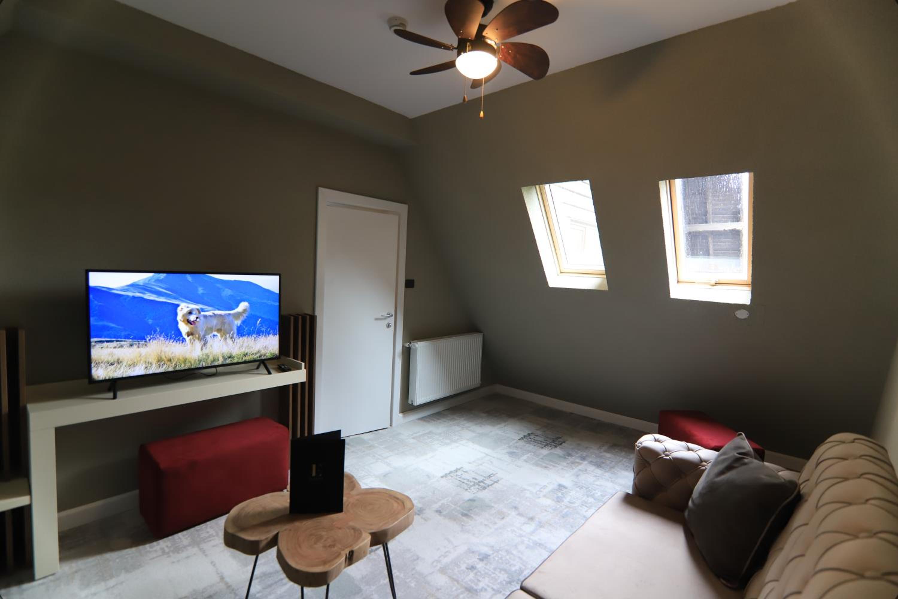 Apartment - Photo 6