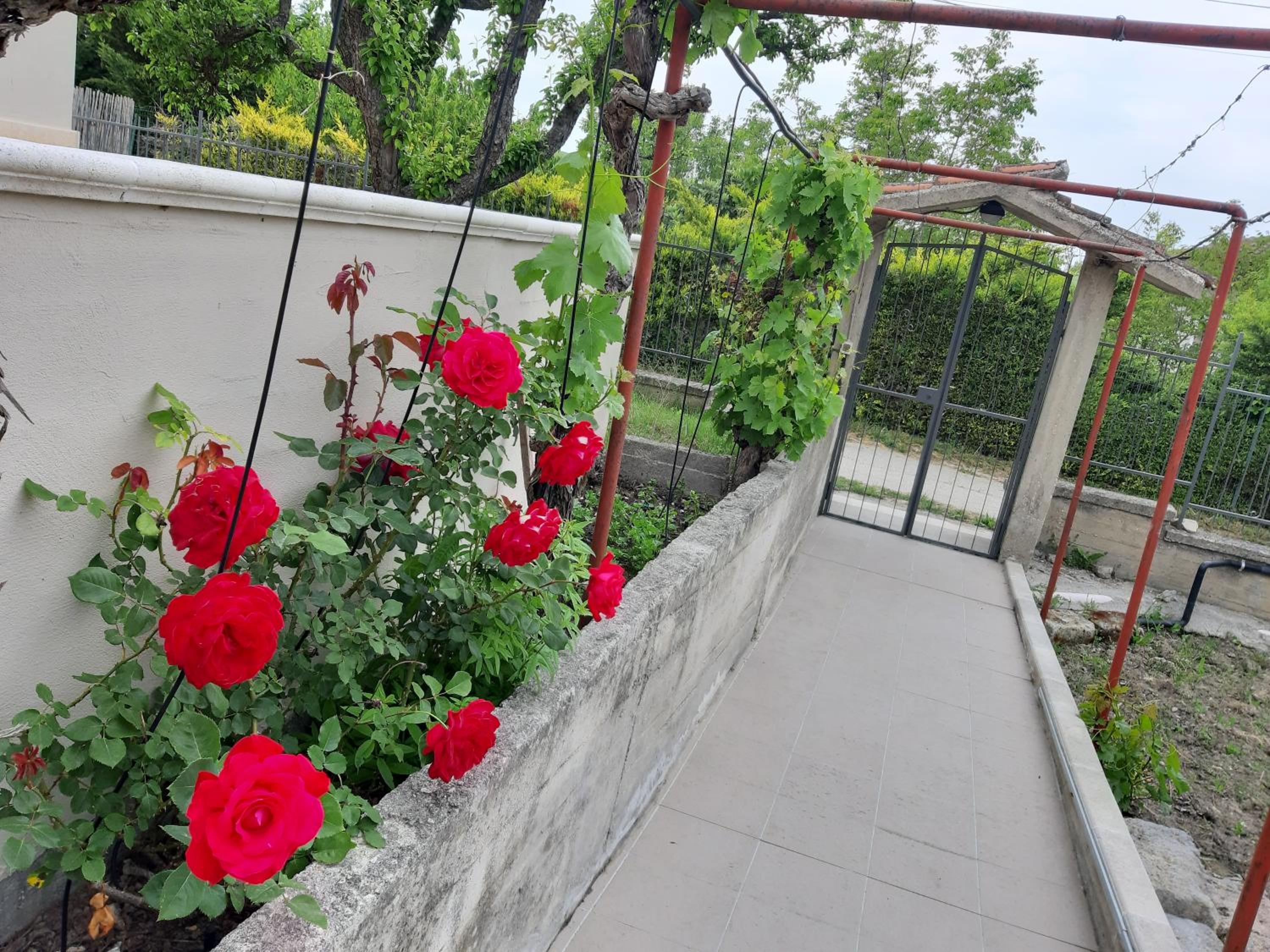 Two-Bedroom House - Photo 19