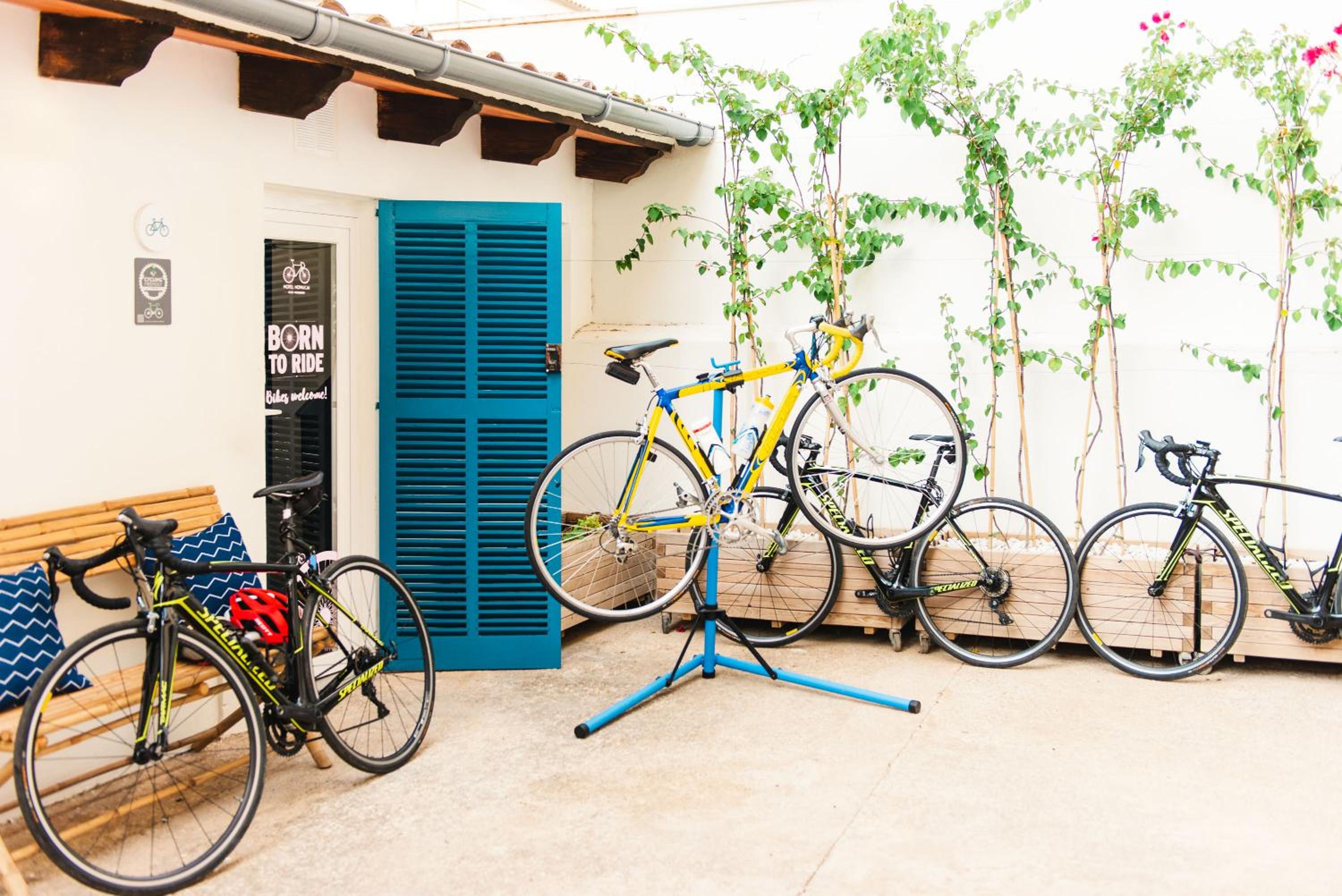 Cycling Package - Double Room - Photo 1