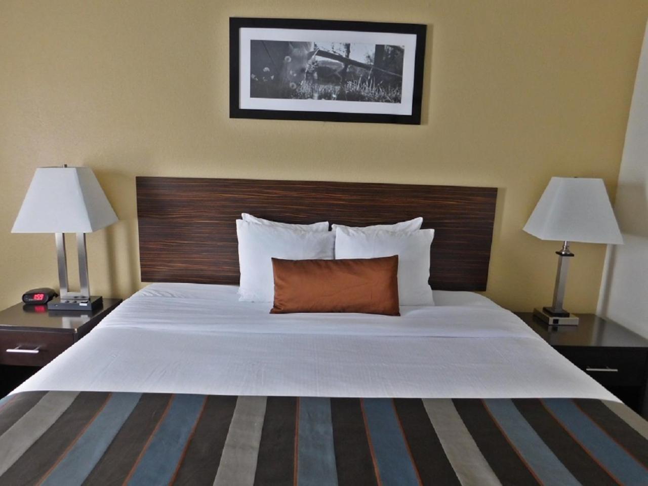 King Room - Non-Smoking - Photo 1