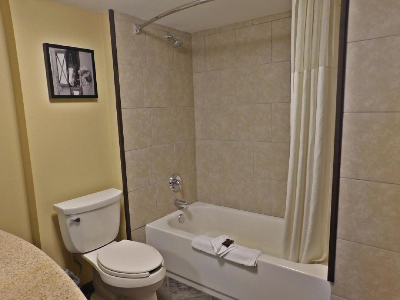 King Room - Non-Smoking - Photo 4