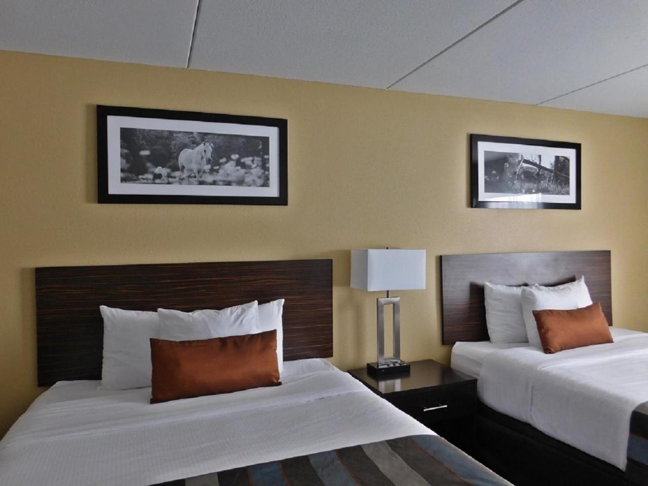 Studio Suite with 2 Queen Beds, Non-Smoking - Photo 4