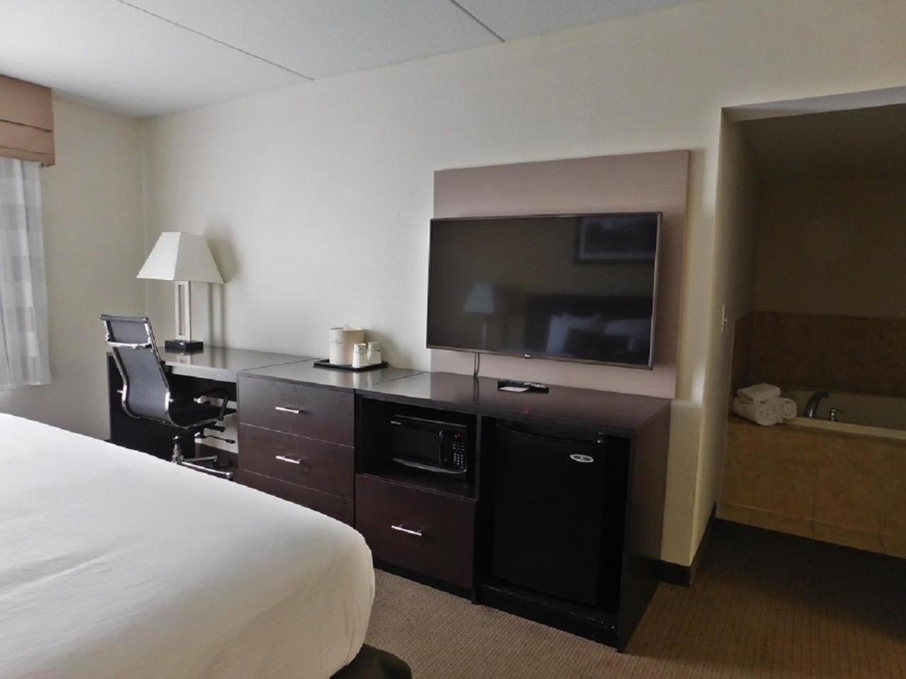 Deluxe King Studio Suite - Non-Smoking - Photo 5