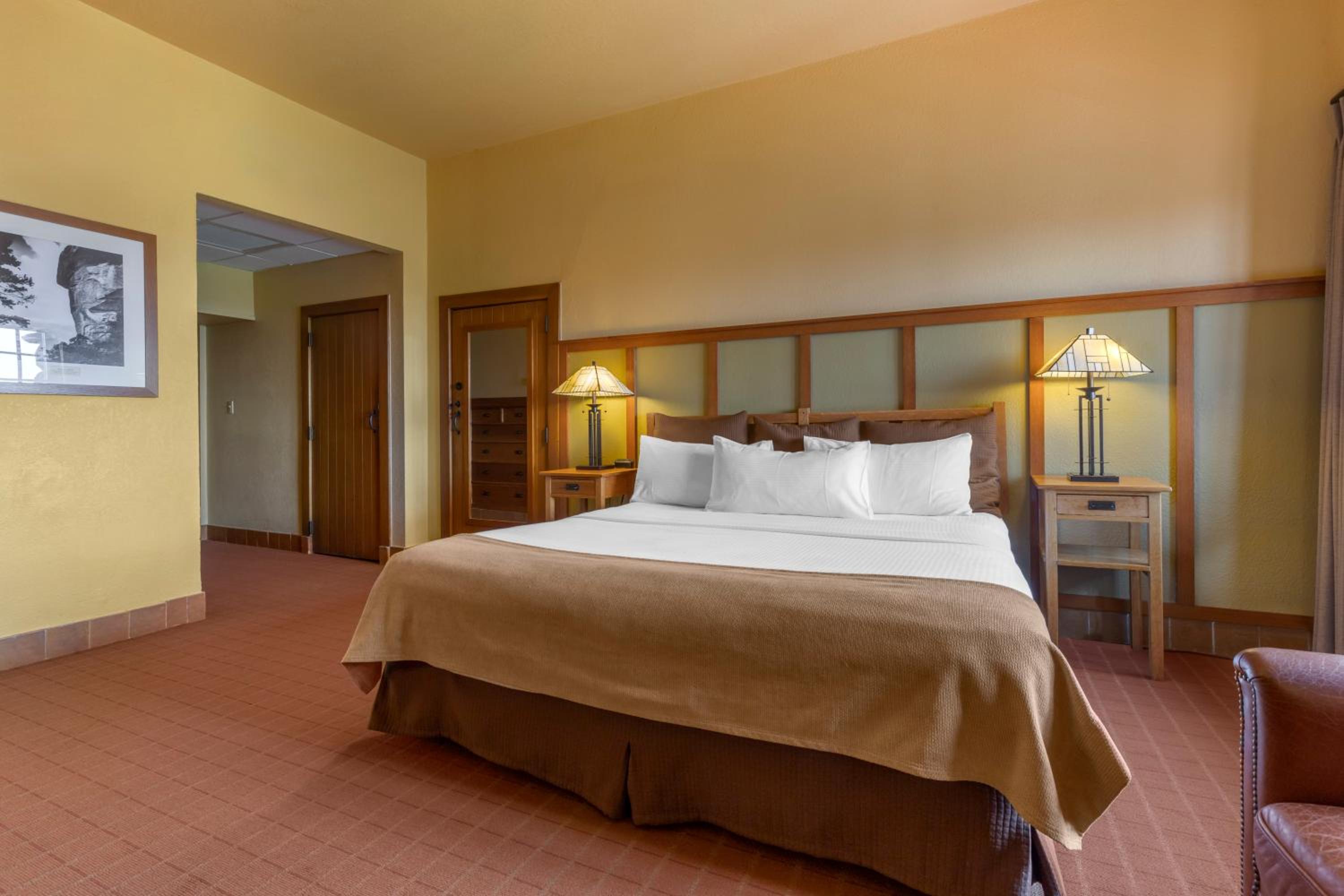 Deluxe Mountain View Room 1 King Bed