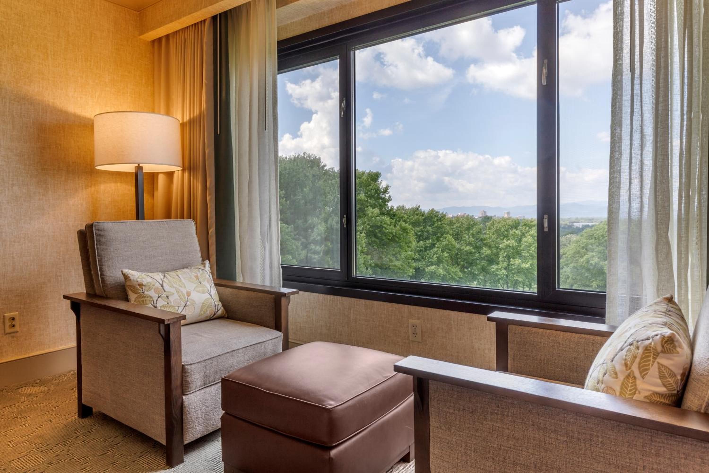 Premium Mountain View Room with One King Bed - Photo 7