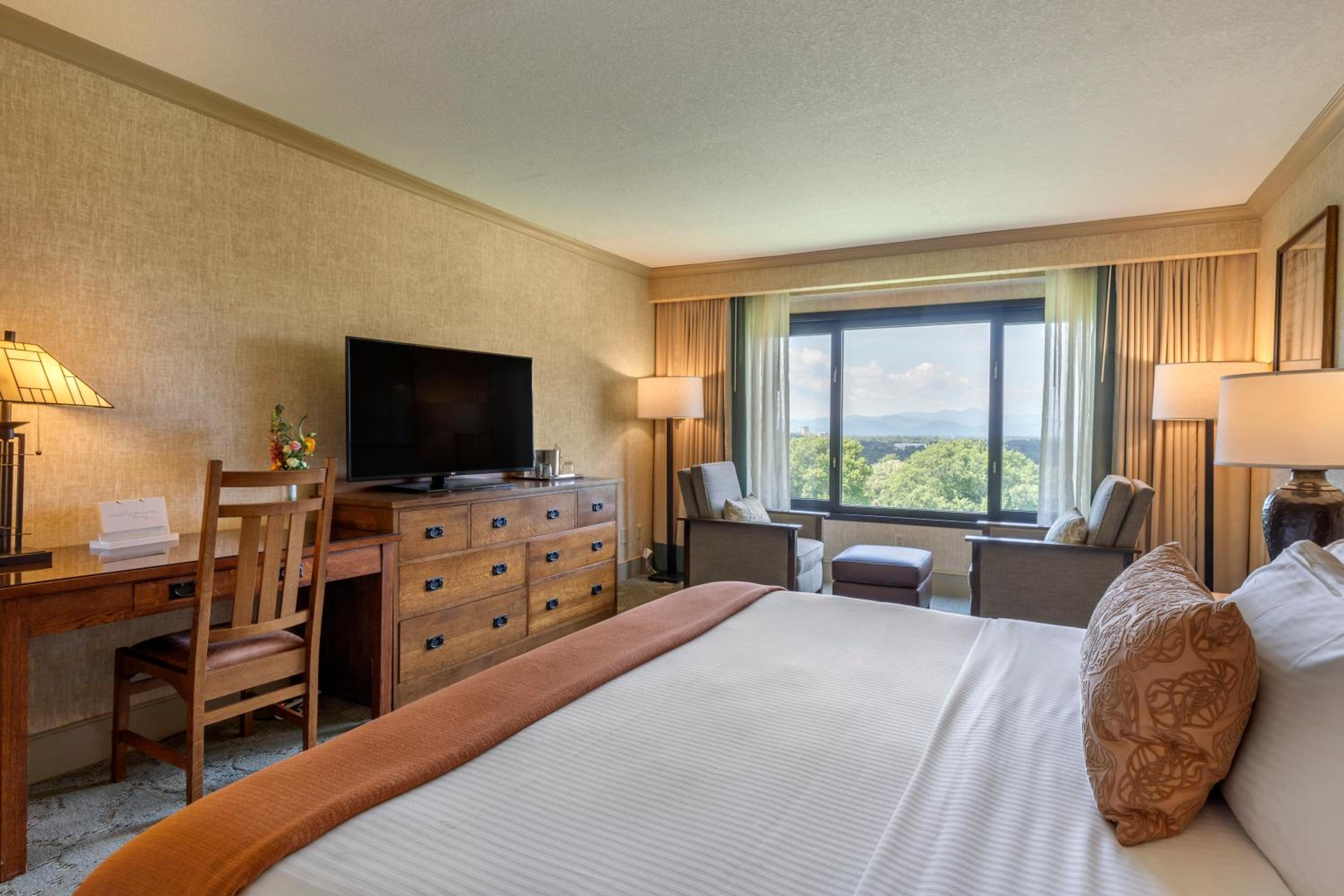 Premium Mountain View Room with One King Bed - Photo 6