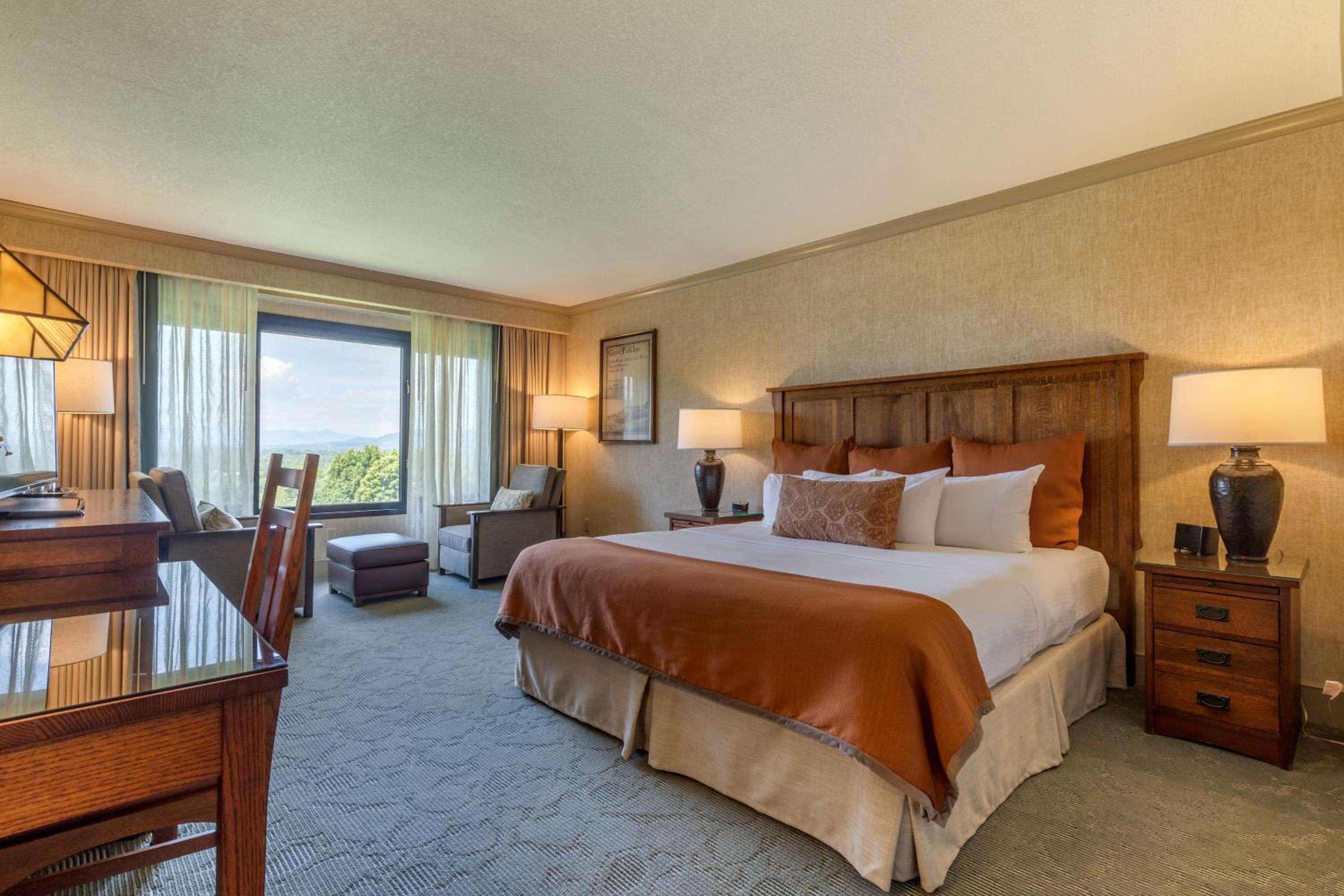 Premium King Room with Resort View - Photo 3