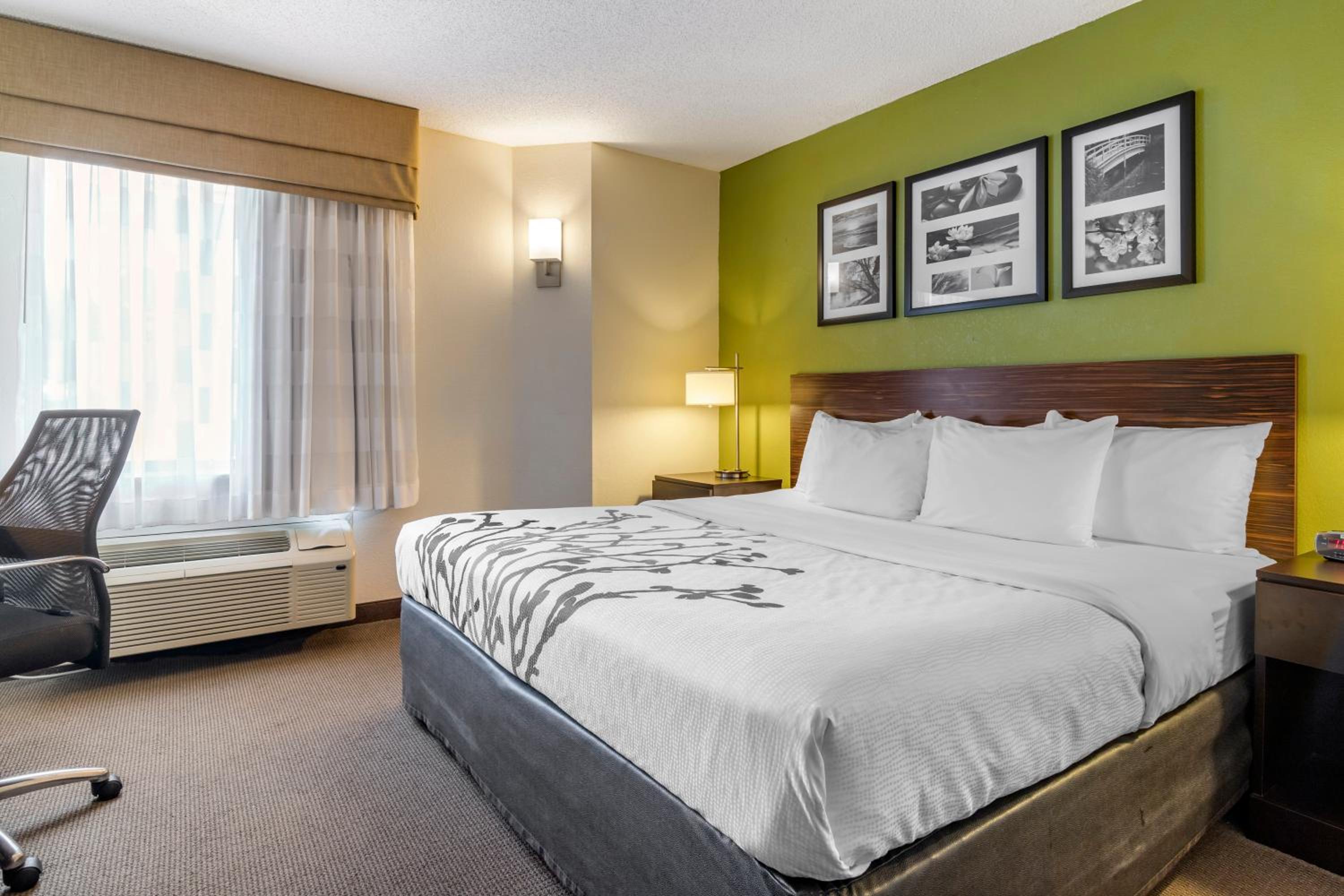 King Room - Accessible/Non-Smoking photo 3