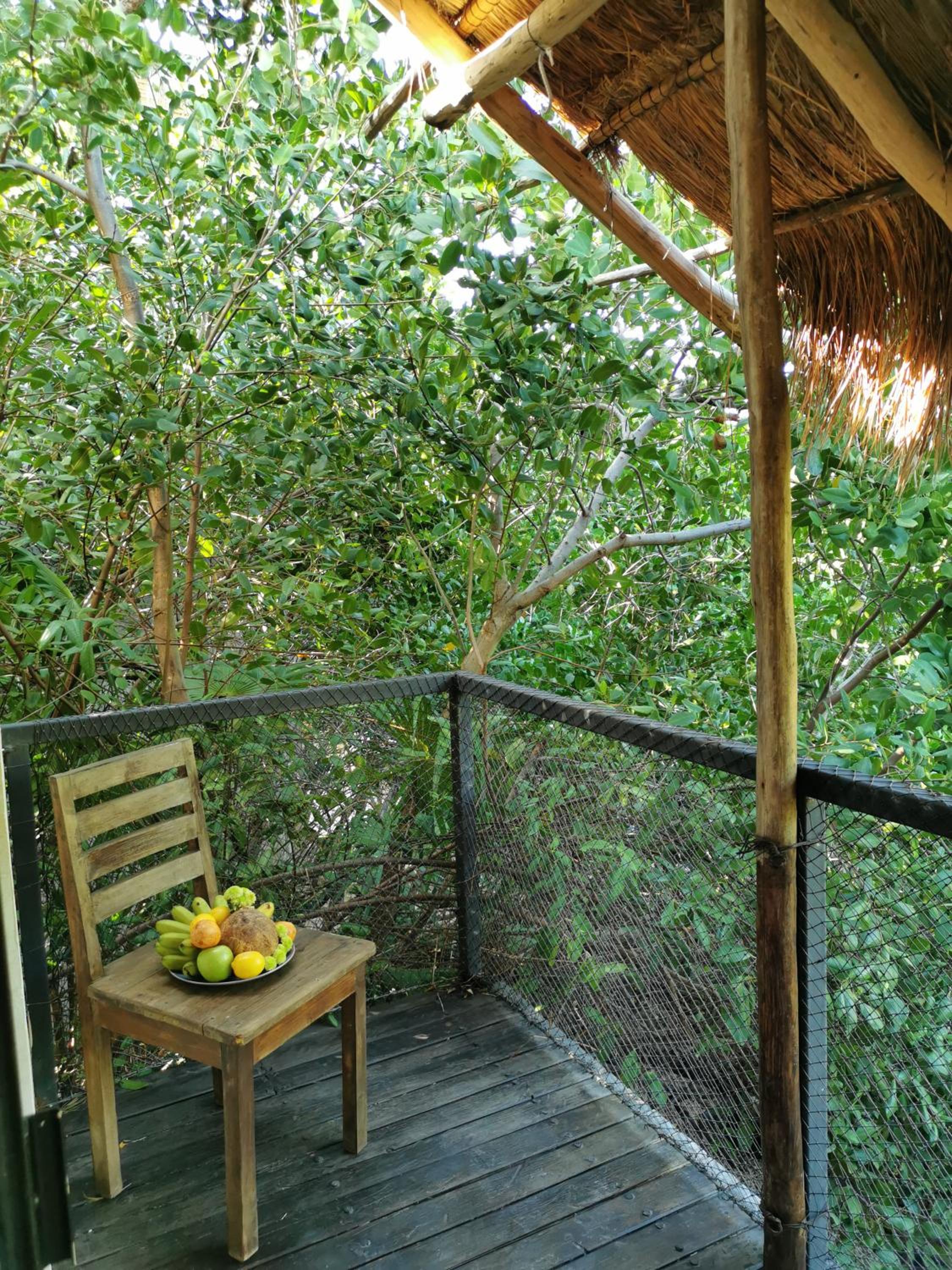 King Room with Terrace and Jungle View - Photo 73