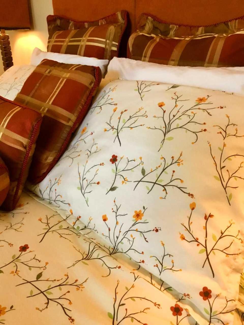 Superior Queen Room photo 1