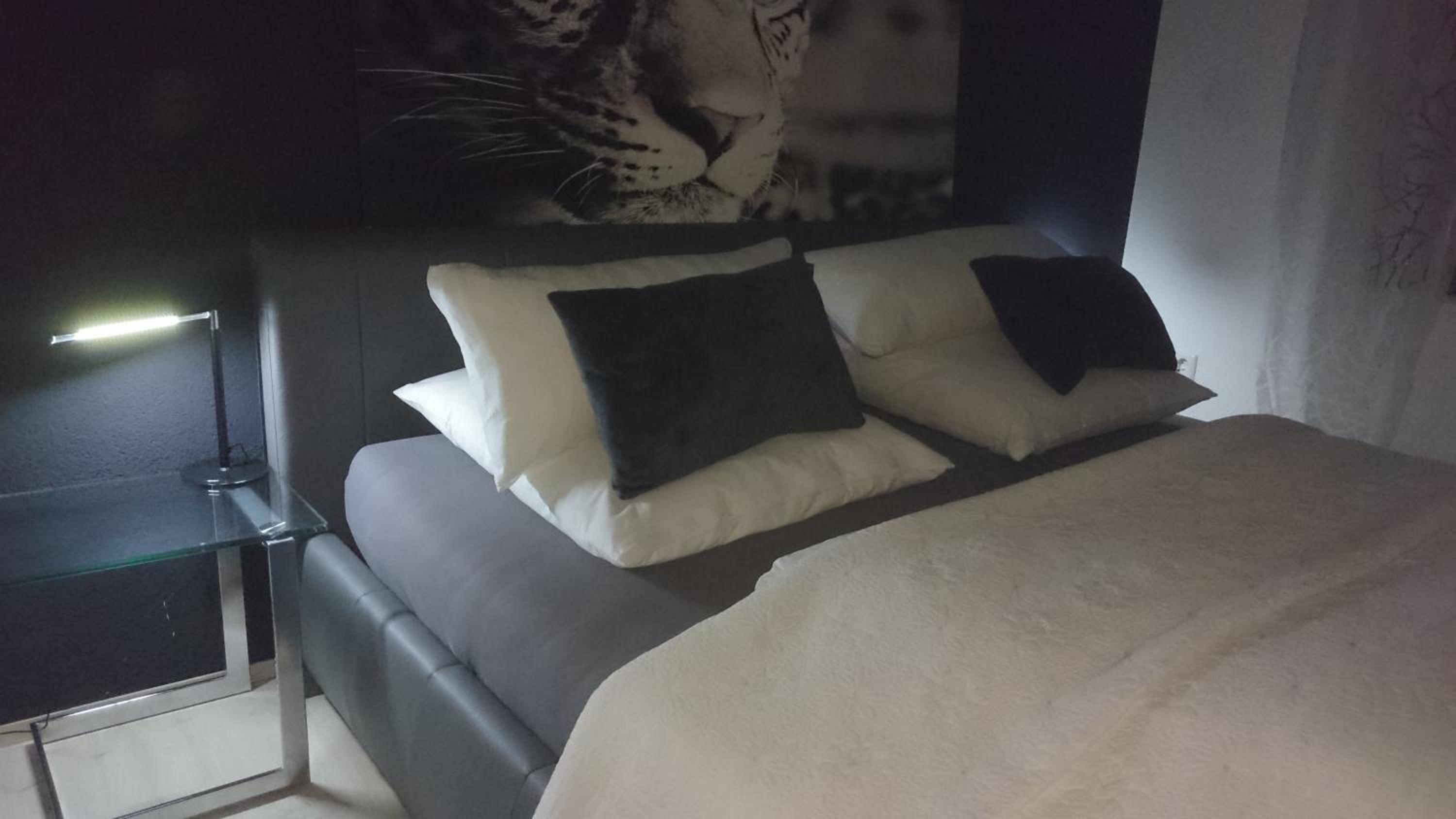 Deluxe Apartment - Photo 3