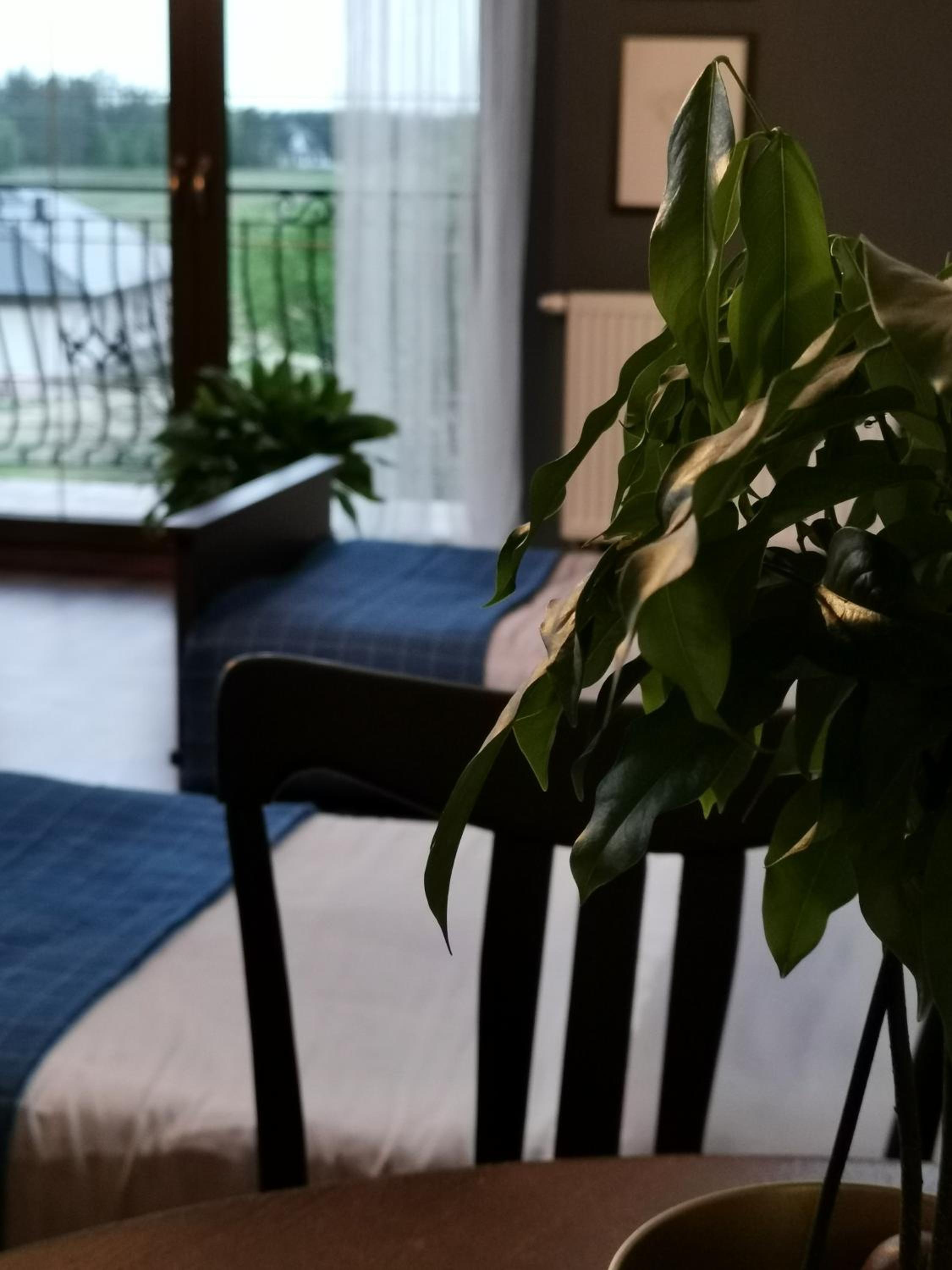 Family Room with Garden View - Photo 2