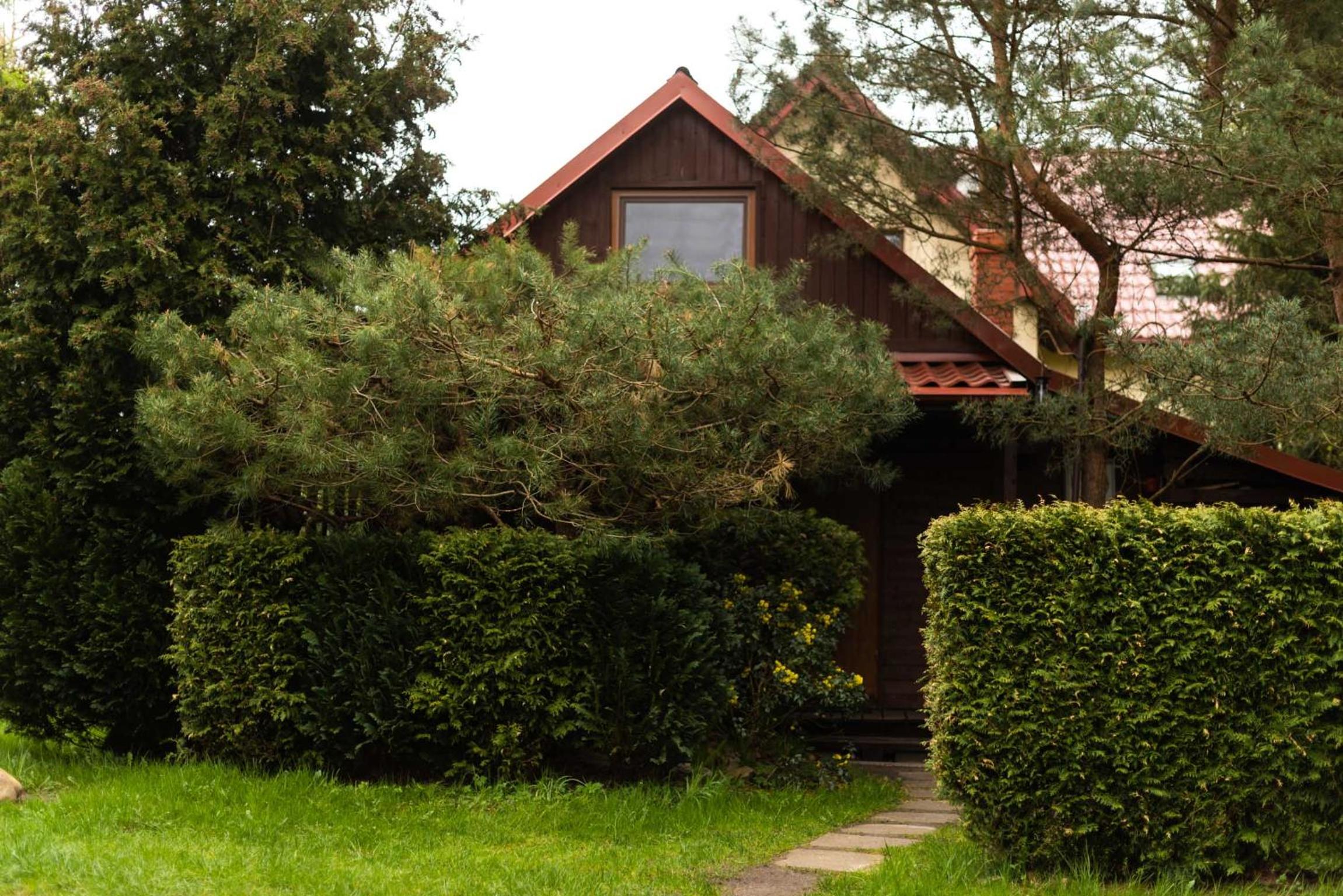 One-Bedroom House photo 3