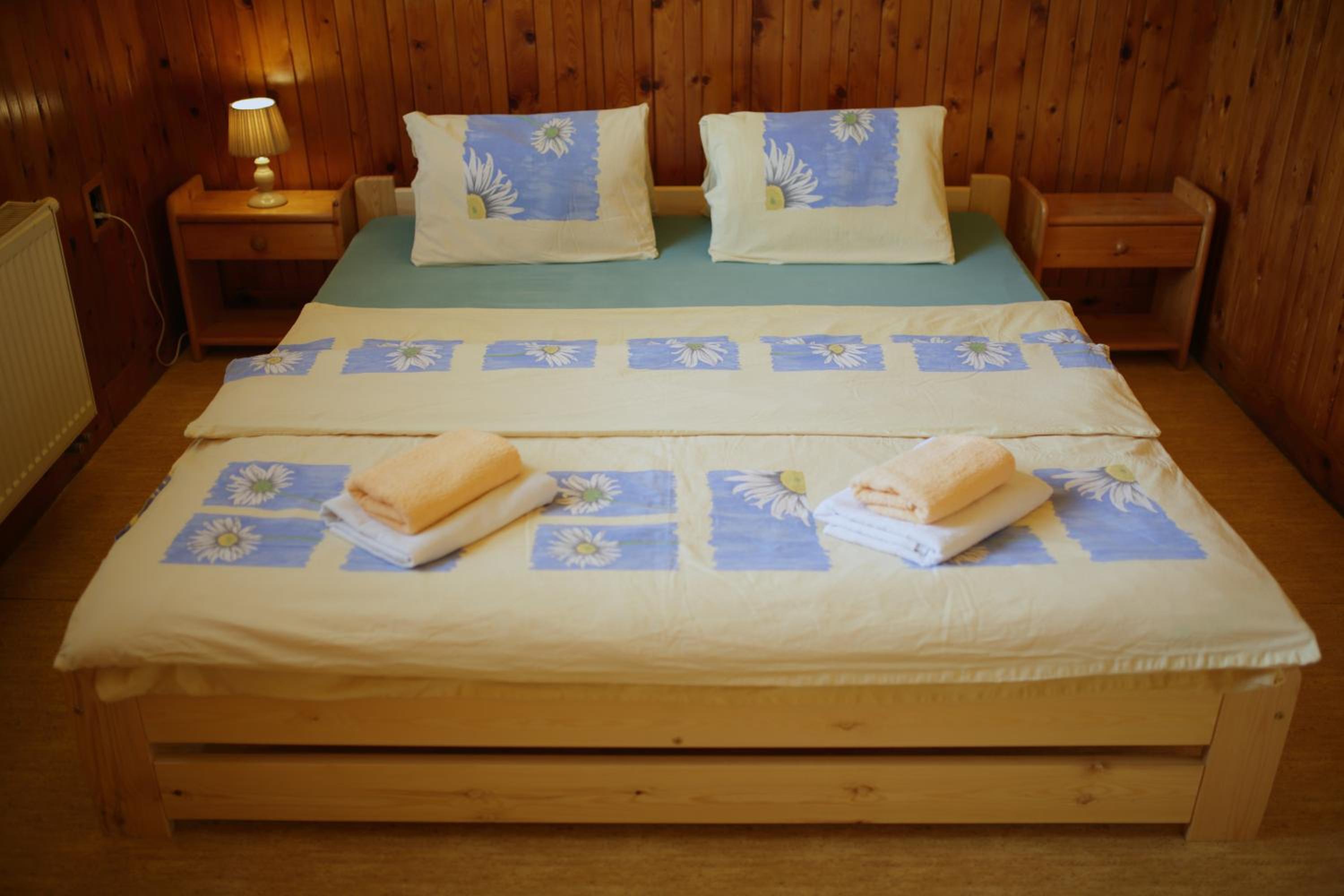 Double or Twin Room photo 3