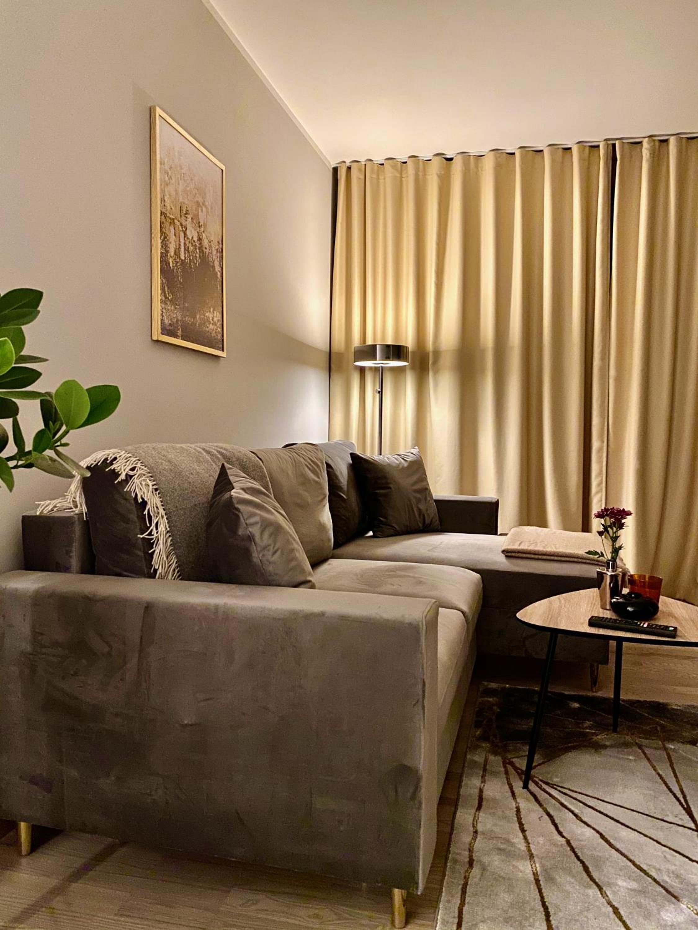 One-Bedroom Apartment photo 3