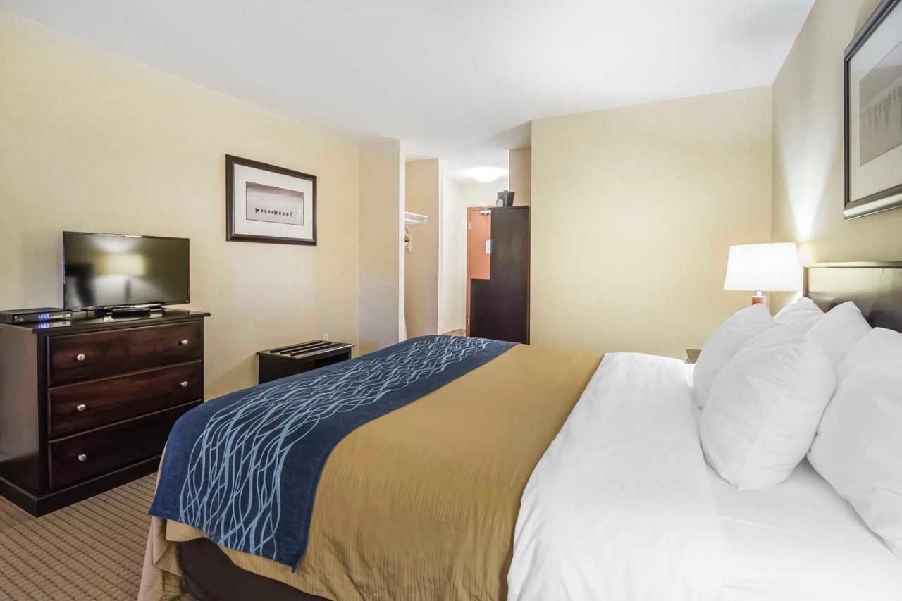 King Room - Non-Smoking - Photo 4
