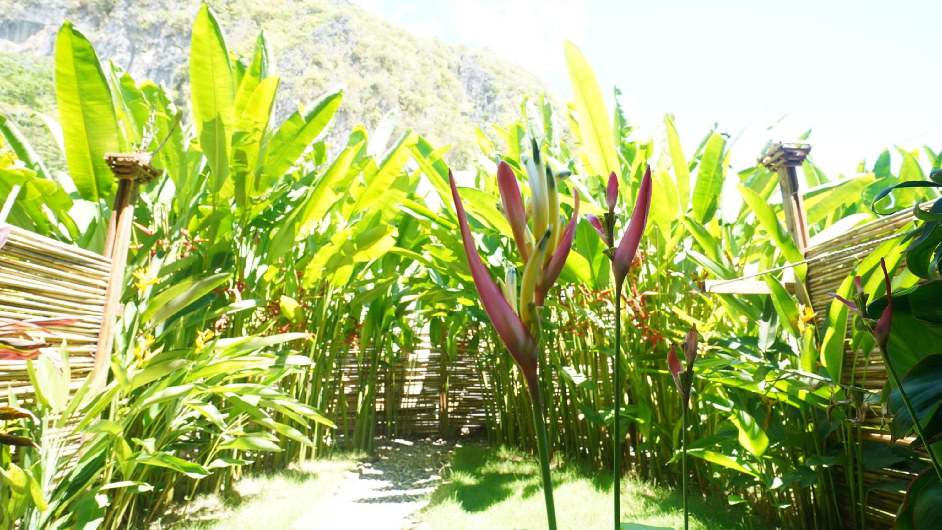 Deluxe Room with Terrace - Photo 4