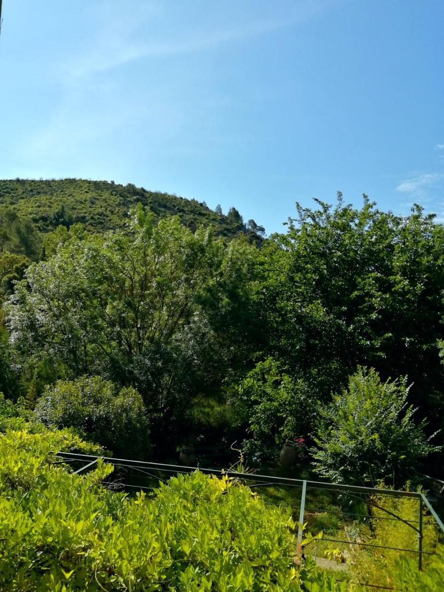 Double Room with Garden View photo 1