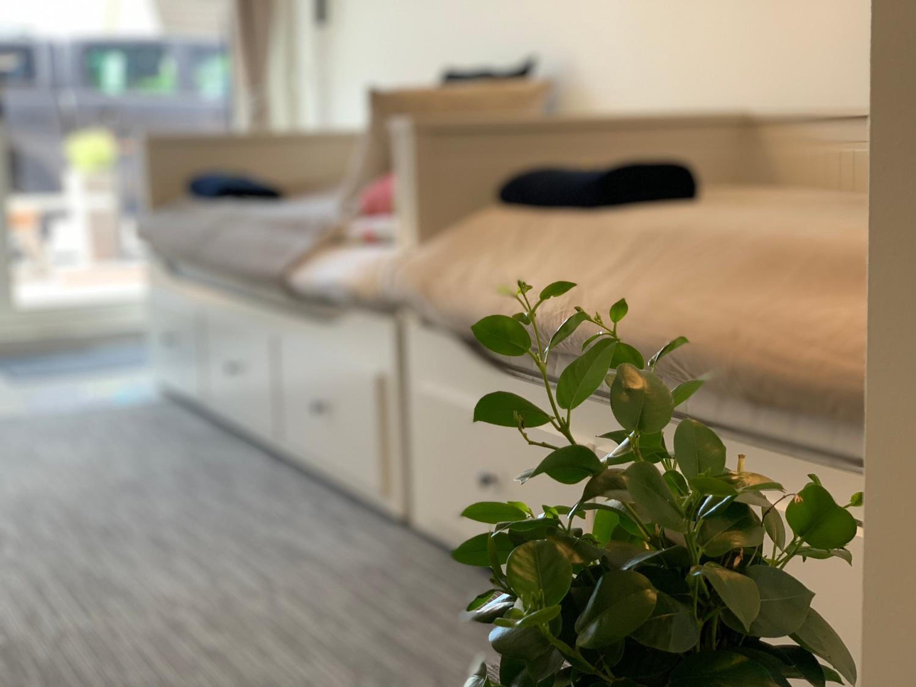 Twin Room photo 2