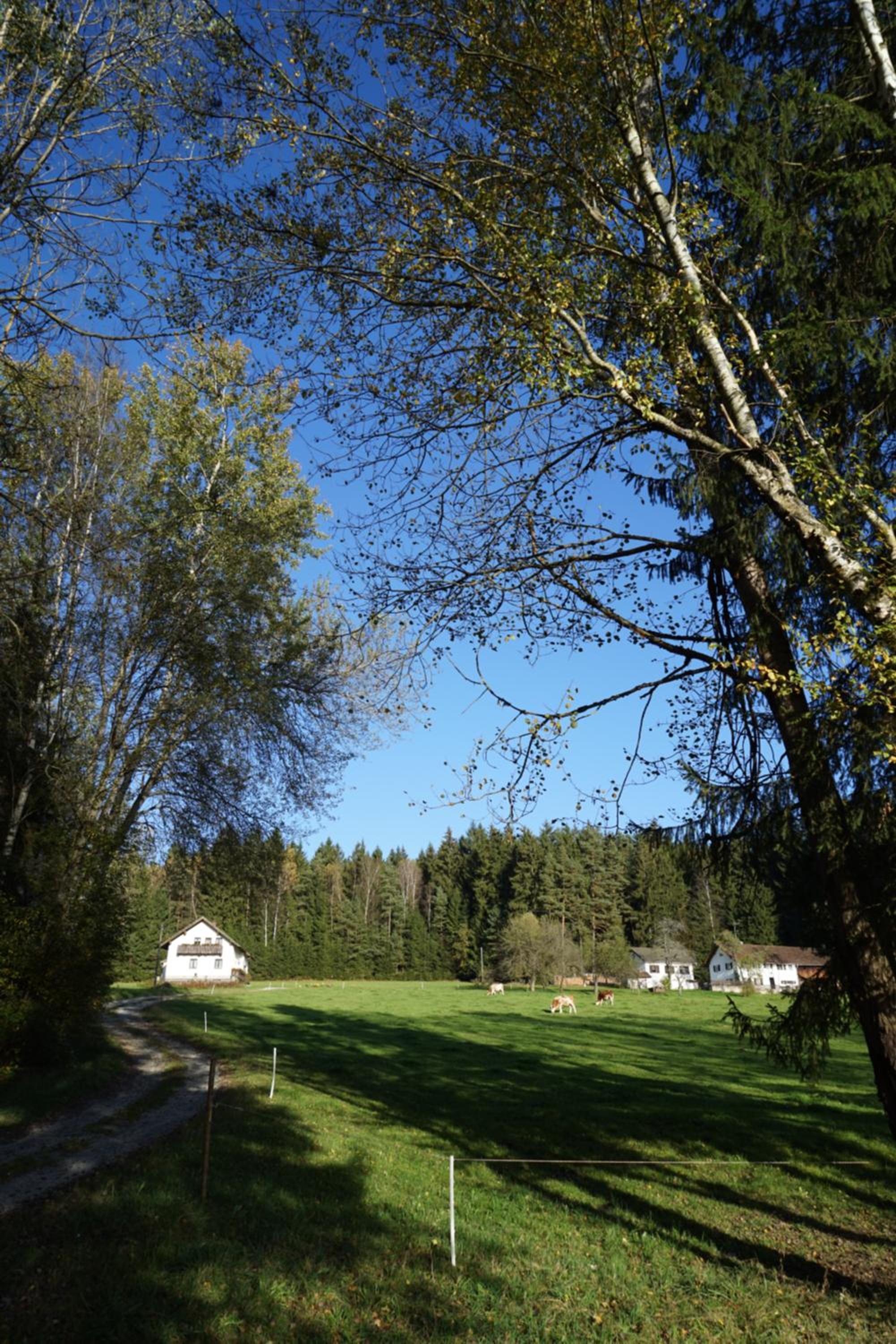 Tent - Photo 1