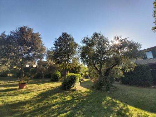 One-Bedroom Apartment with Garden View